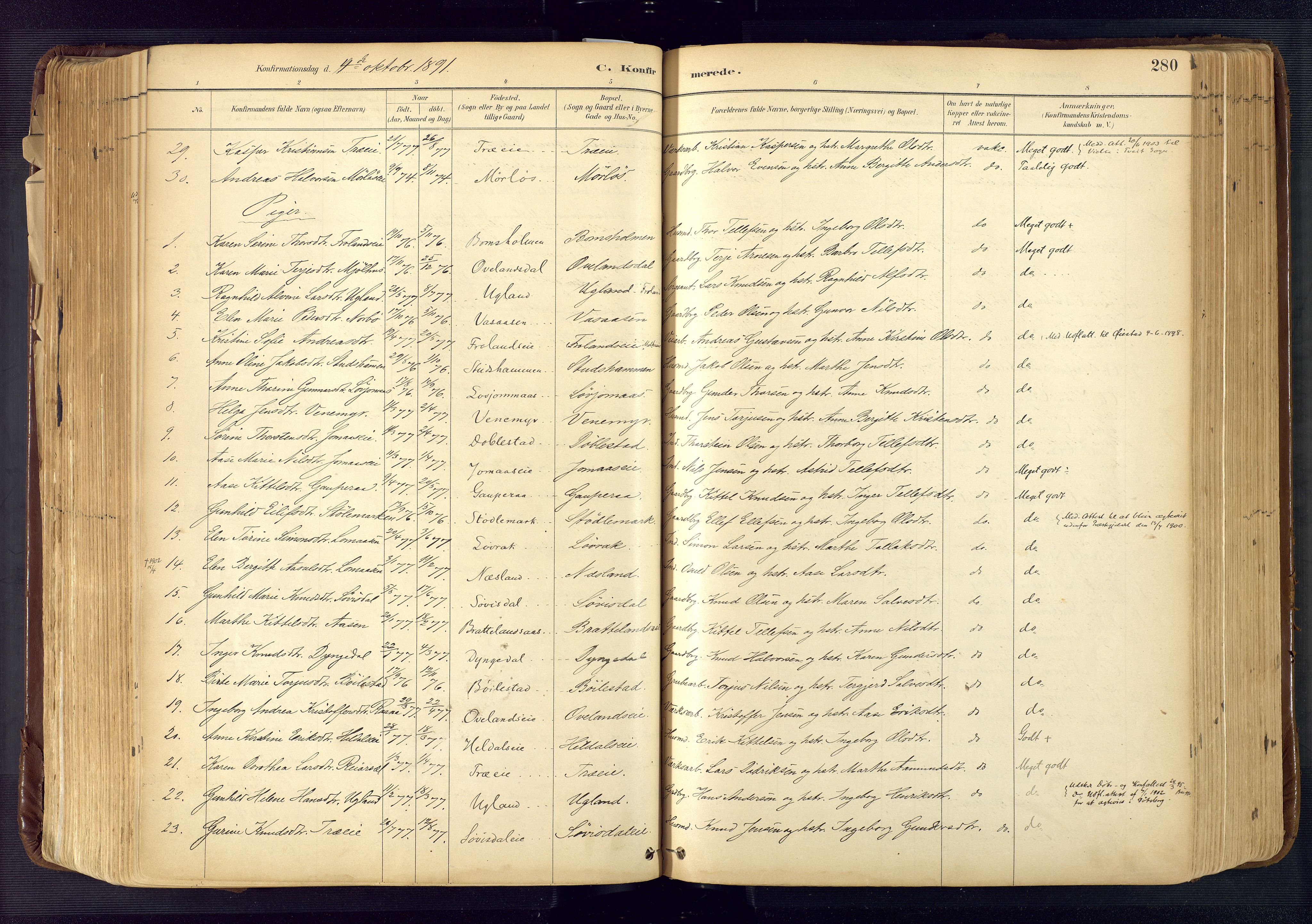 Froland sokneprestkontor, AV/SAK-1111-0013/F/Fa/L0005: Parish register (official) no. A 5, 1882-1921, p. 280