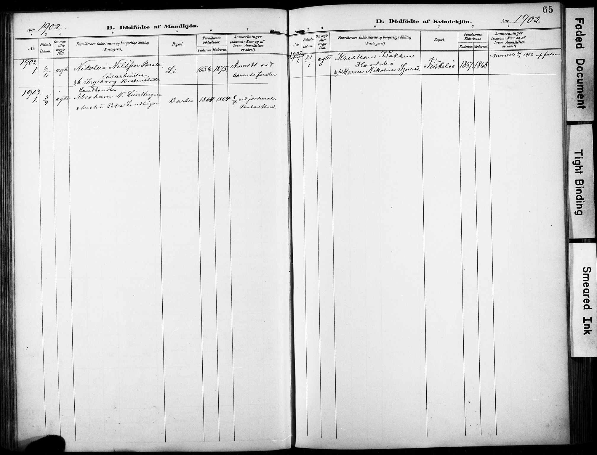Fiskum kirkebøker, SAKO/A-15/F/Fa/L0003: Parish register (official) no. 3, 1890-1905, p. 65