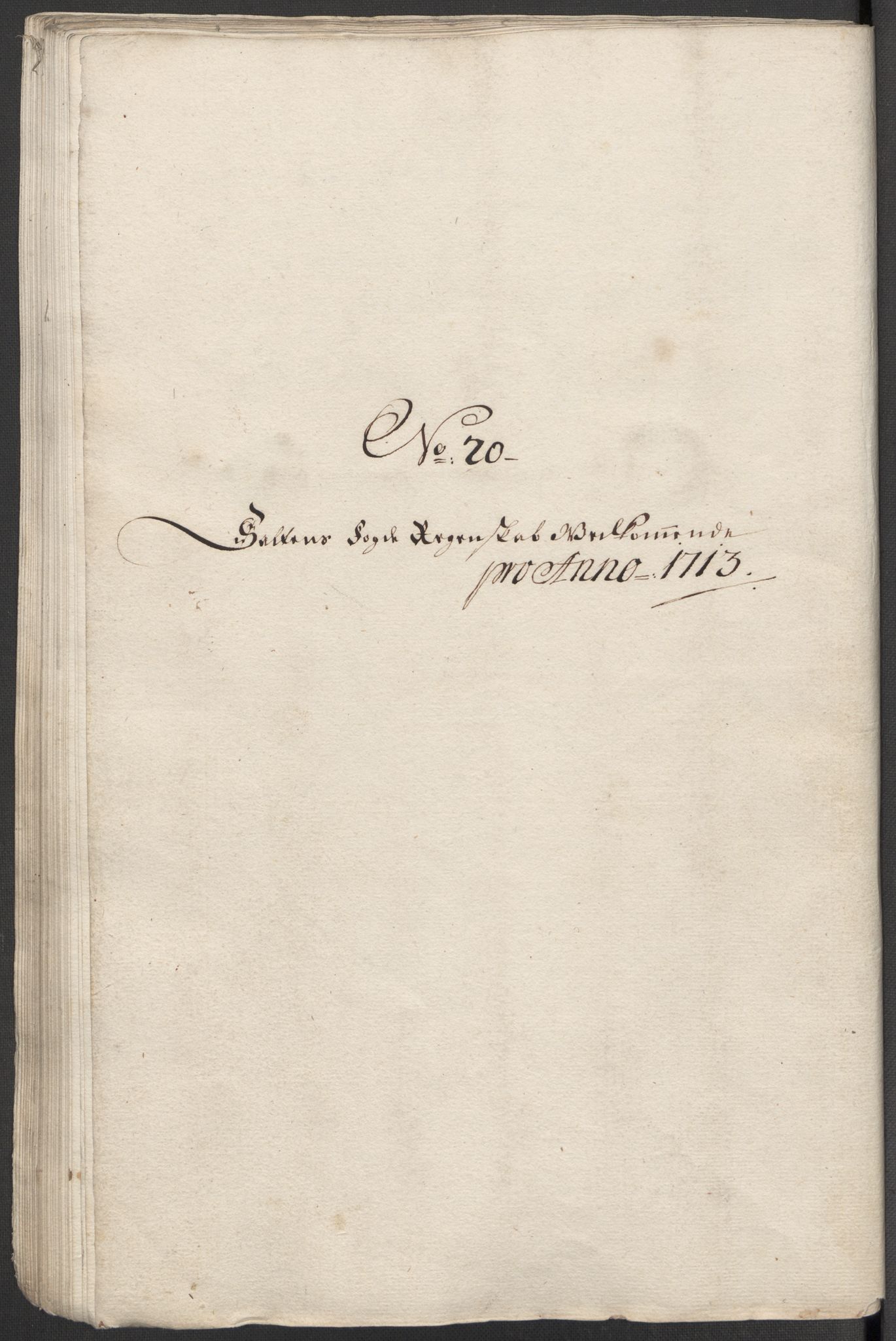 Rentekammeret inntil 1814, Reviderte regnskaper, Fogderegnskap, AV/RA-EA-4092/R66/L4583: Fogderegnskap Salten, 1713, p. 160