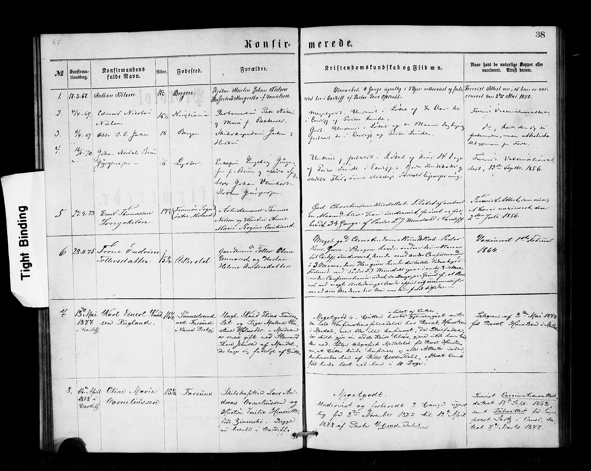 Den norske sjømannsmisjon i utlandet/Bristolhavnene(Cardiff-Swansea), SAB/SAB/PA-0102/H/Ha/Haa/L0001: Parish register (official) no. A 1, 1866-1887, p. 38