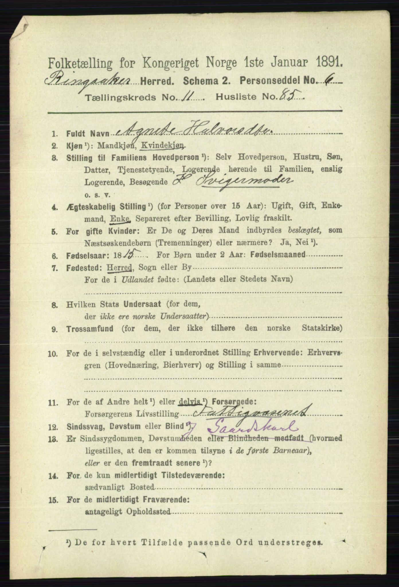 RA, 1891 census for 0412 Ringsaker, 1891, p. 6688