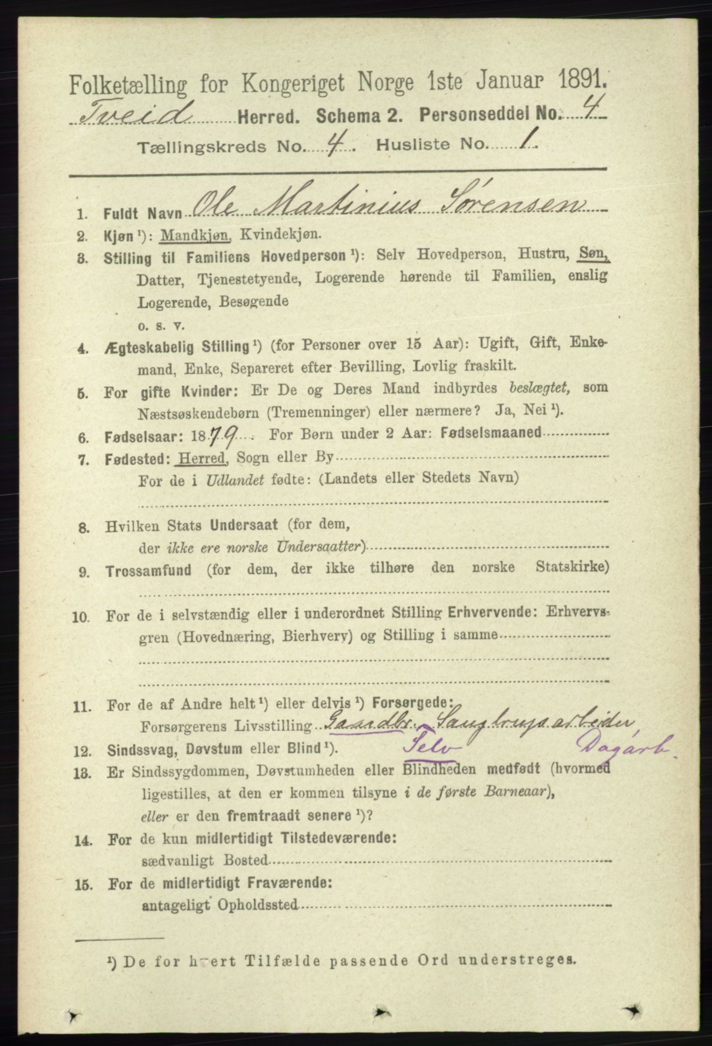 RA, 1891 census for 1013 Tveit, 1891, p. 1809