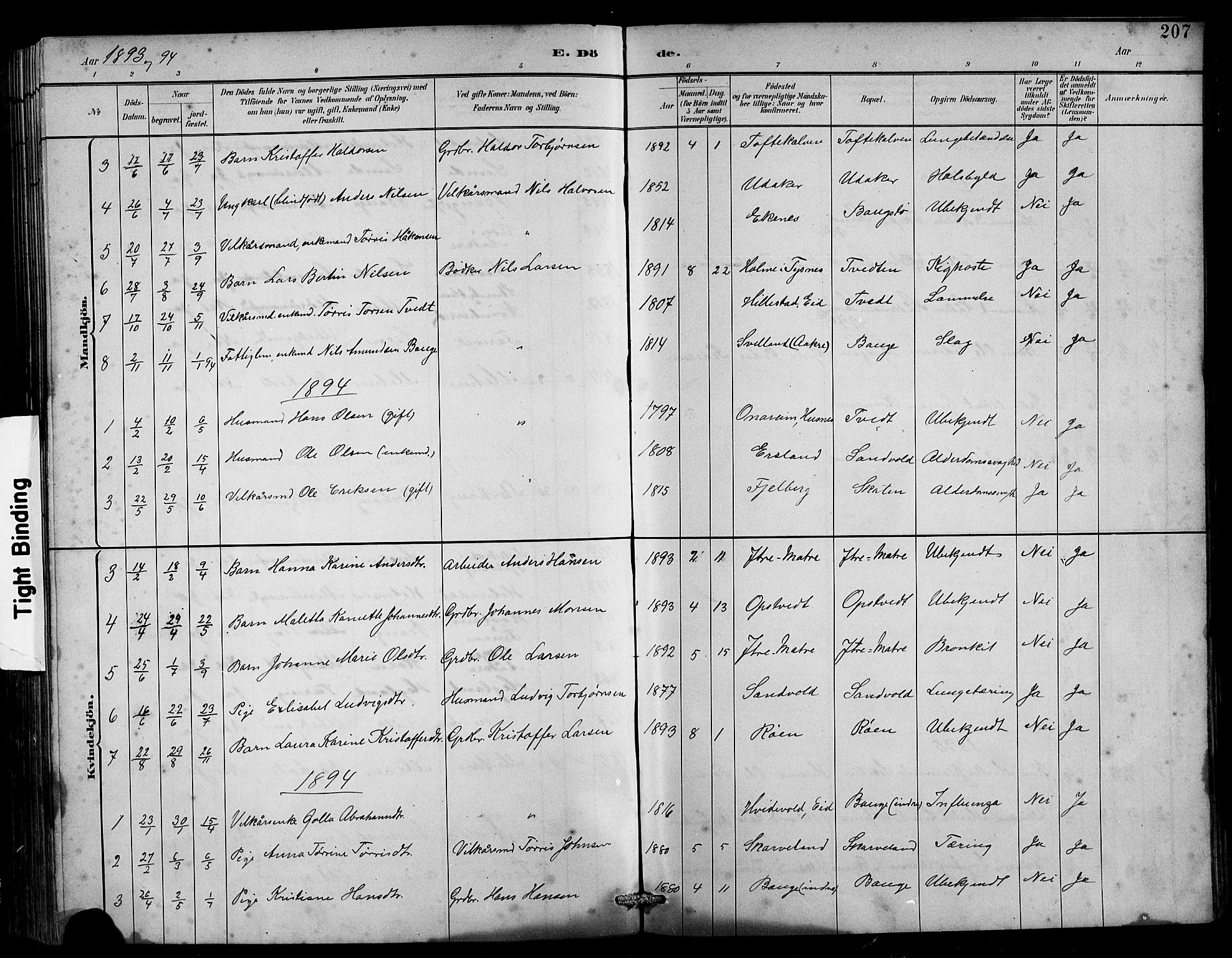 Husnes Sokneprestembete, SAB/A-75901/H/Hab: Parish register (copy) no. B 2, 1884-1914, p. 207
