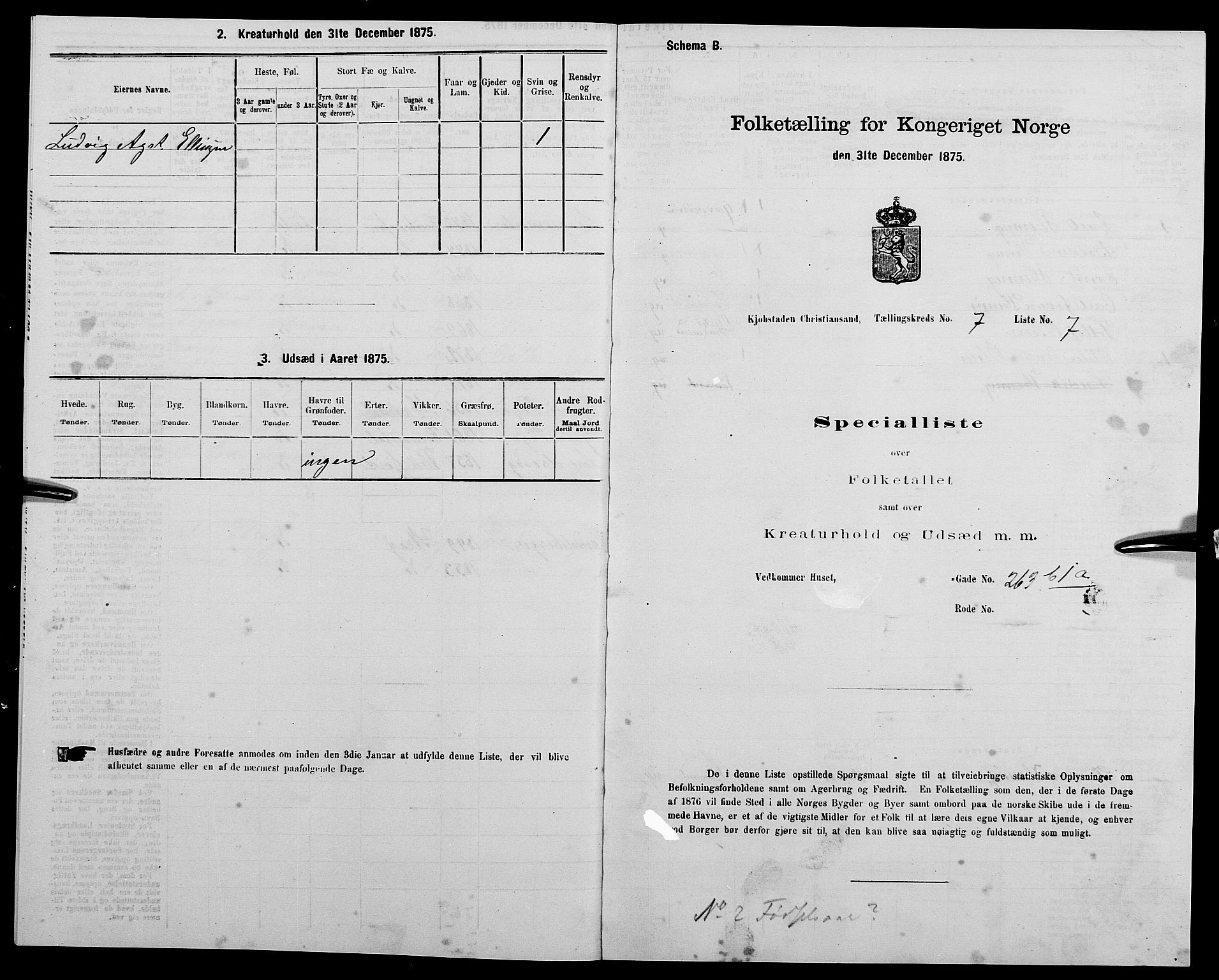 SAK, 1875 census for 1001P Kristiansand, 1875, p. 1000