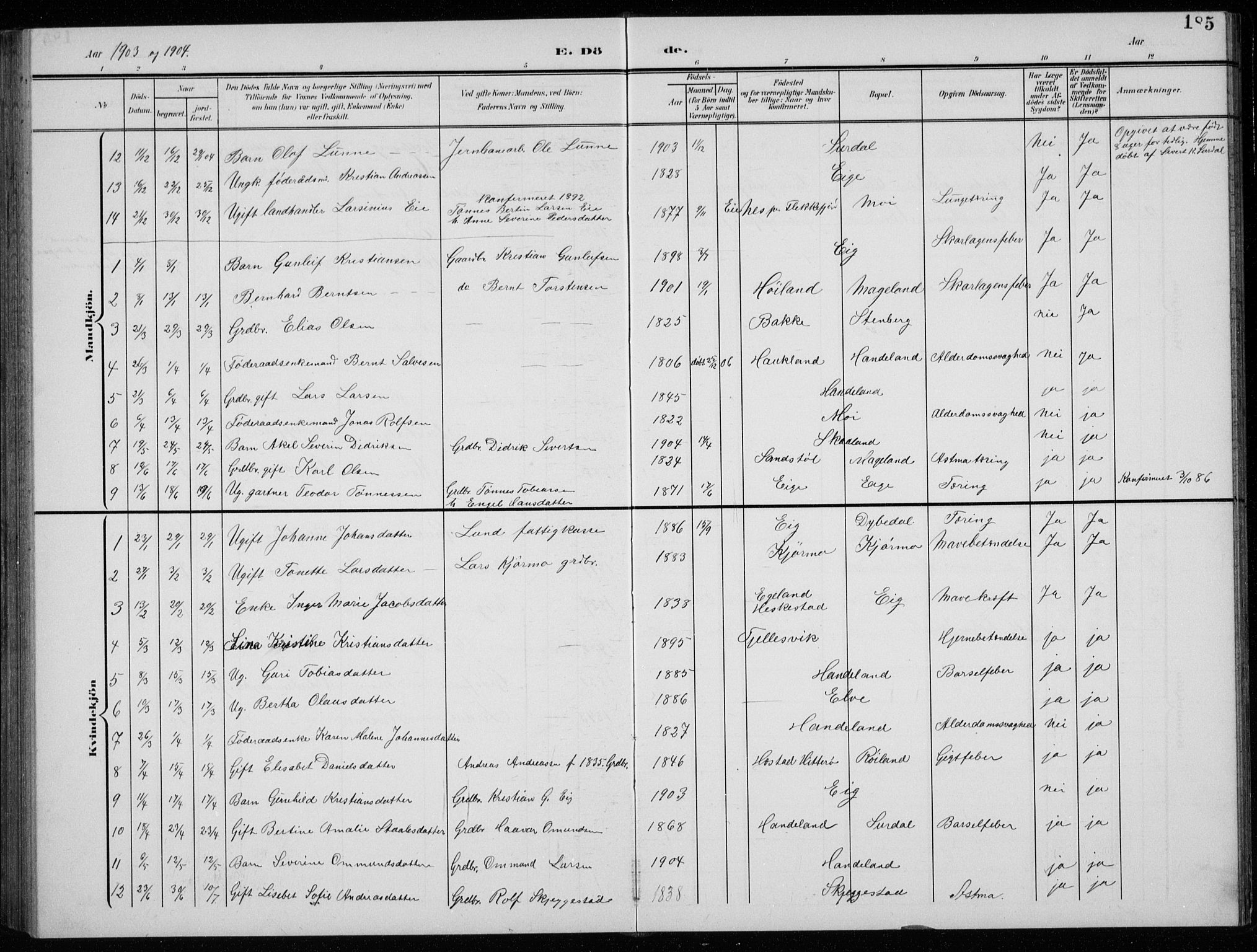 Lund sokneprestkontor, AV/SAST-A-101809/S07/L0008: Parish register (copy) no. B 8, 1902-1936, p. 185