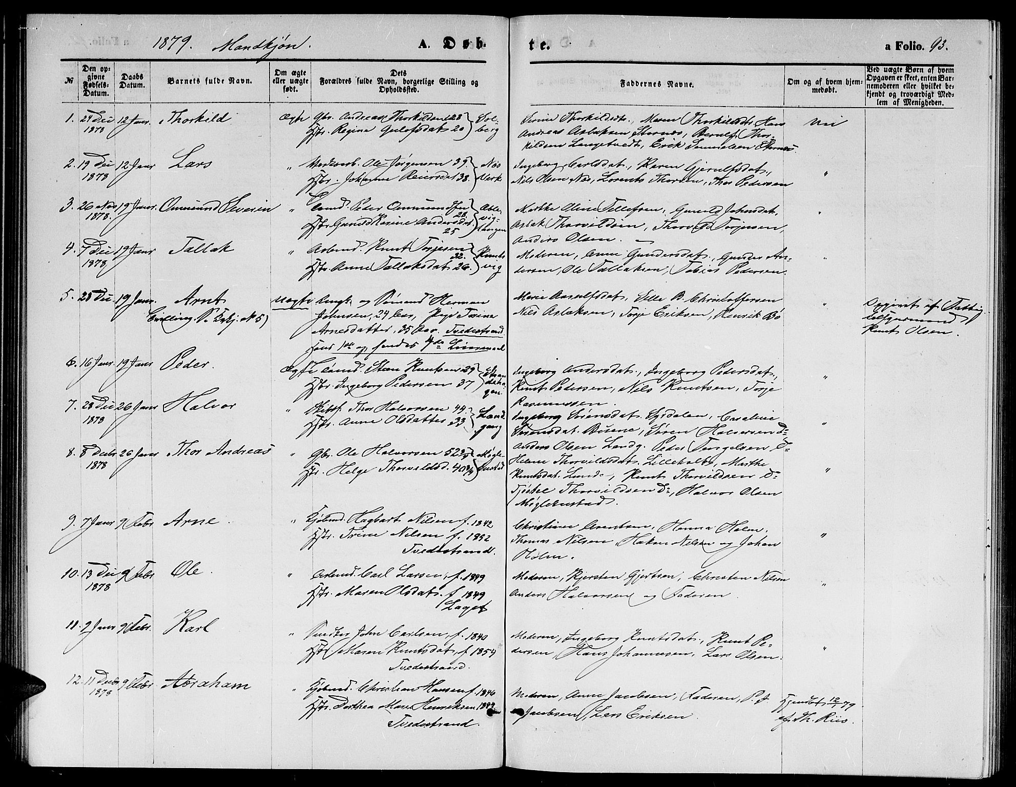 Holt sokneprestkontor, SAK/1111-0021/F/Fb/L0009: Parish register (copy) no. B 9, 1871-1883, p. 93