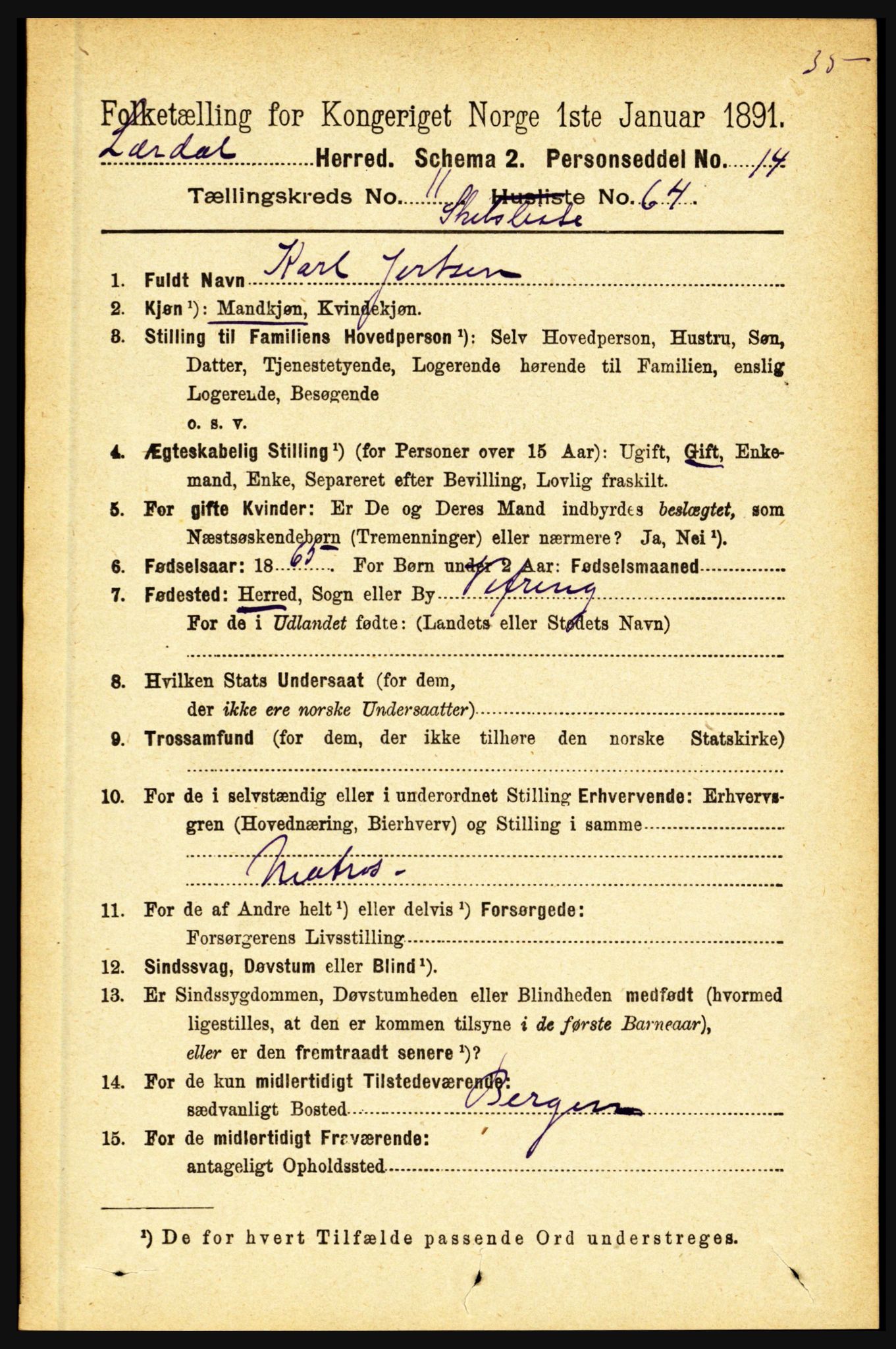 RA, 1891 census for 1422 Lærdal, 1891, p. 2507