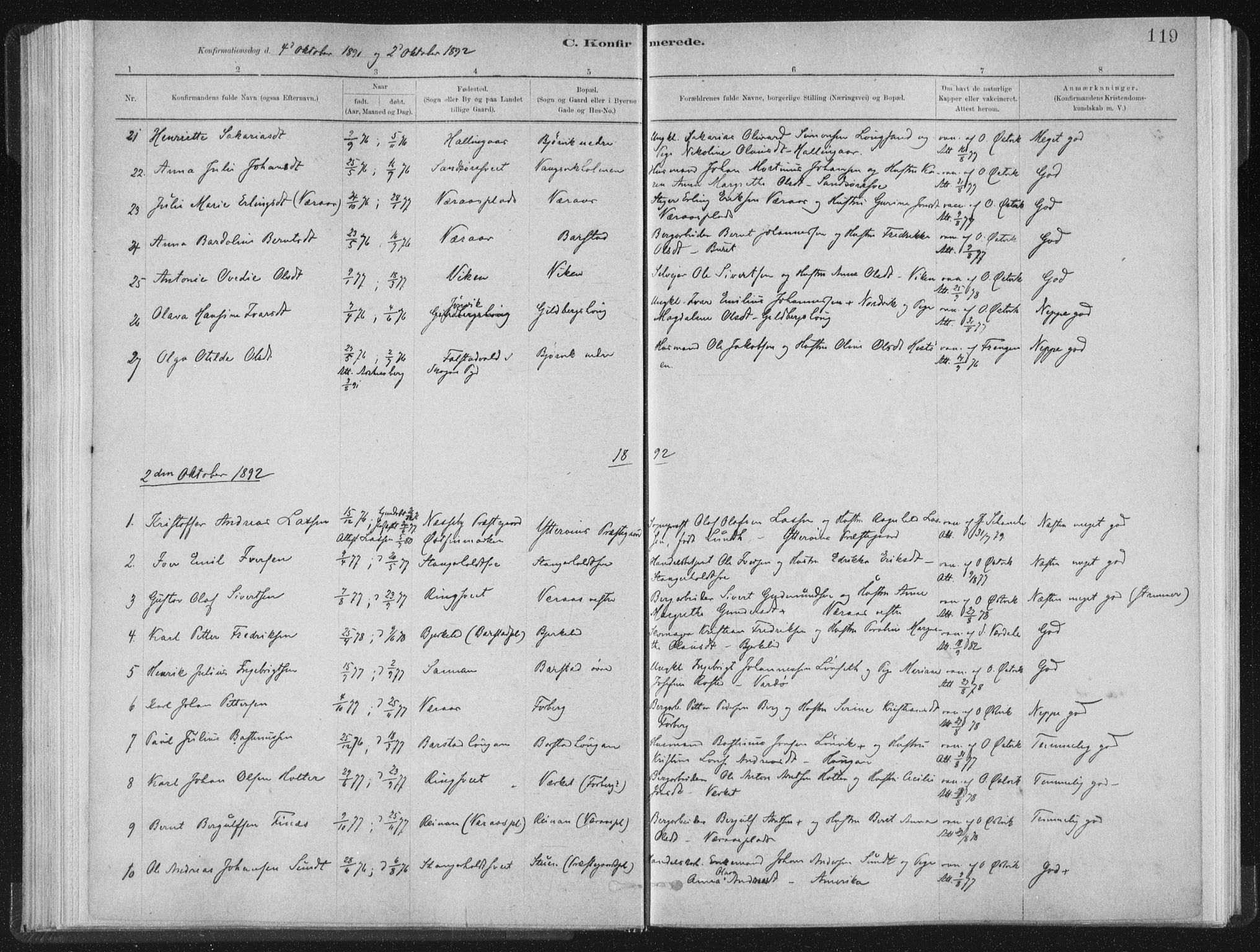 Ministerialprotokoller, klokkerbøker og fødselsregistre - Nord-Trøndelag, SAT/A-1458/722/L0220: Parish register (official) no. 722A07, 1881-1908, p. 119