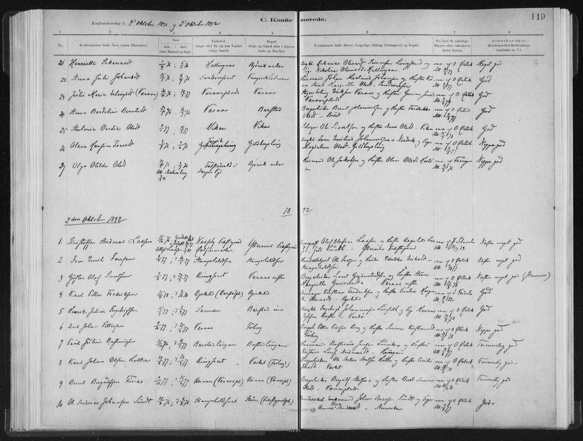 Ministerialprotokoller, klokkerbøker og fødselsregistre - Nord-Trøndelag, AV/SAT-A-1458/722/L0220: Parish register (official) no. 722A07, 1881-1908, p. 119