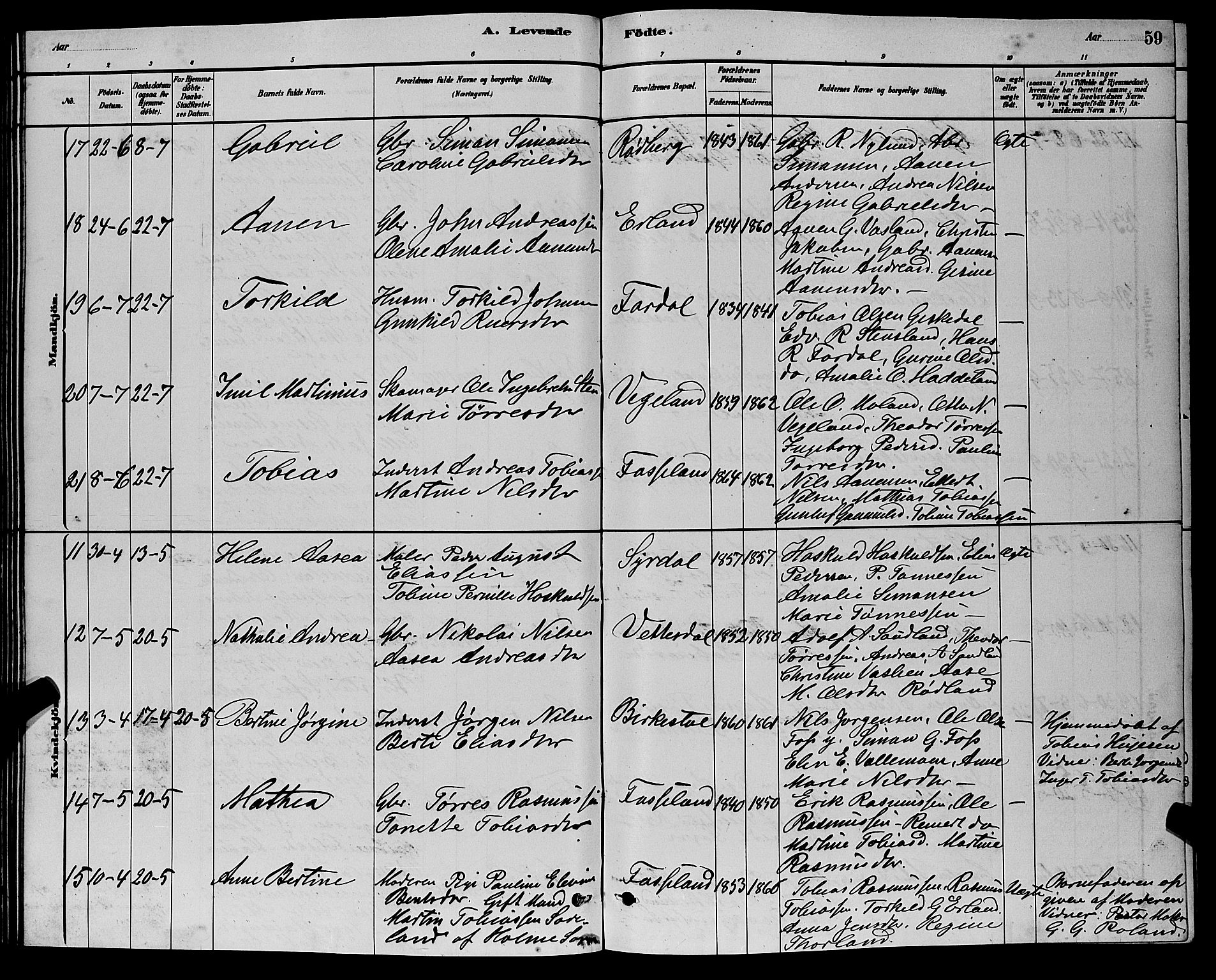 Sør-Audnedal sokneprestkontor, AV/SAK-1111-0039/F/Fb/Fbb/L0005: Parish register (copy) no. B 5, 1880-1892, p. 59