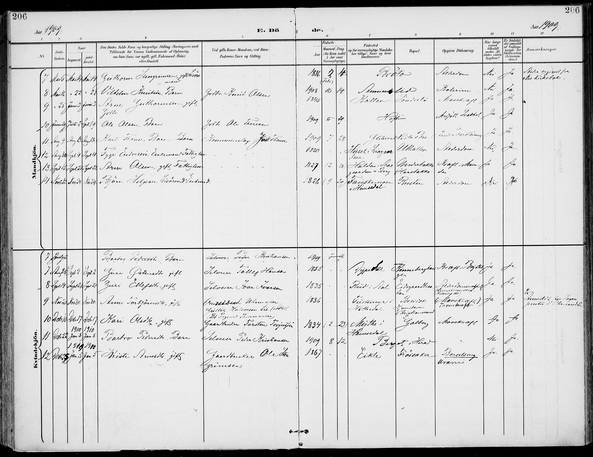 Gol kirkebøker, SAKO/A-226/F/Fa/L0006: Parish register (official) no. I 6, 1901-1918, p. 206