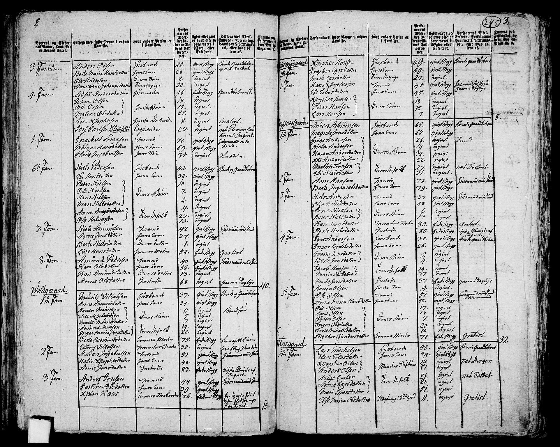 RA, 1801 census for 0136P Rygge, 1801, p. 244b-245a