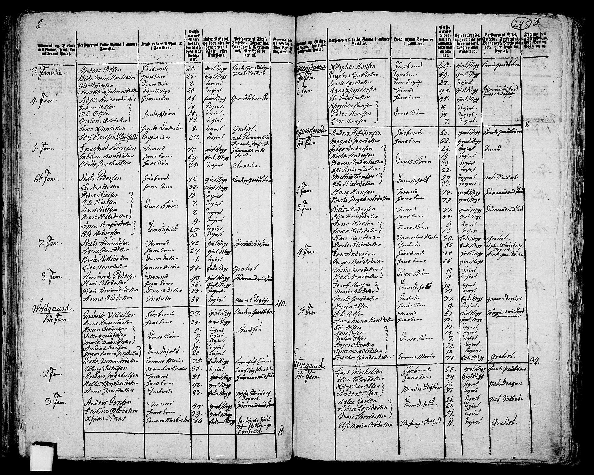 RA, 1801 census for 0136P Rygge, 1801, p. 244b-245a