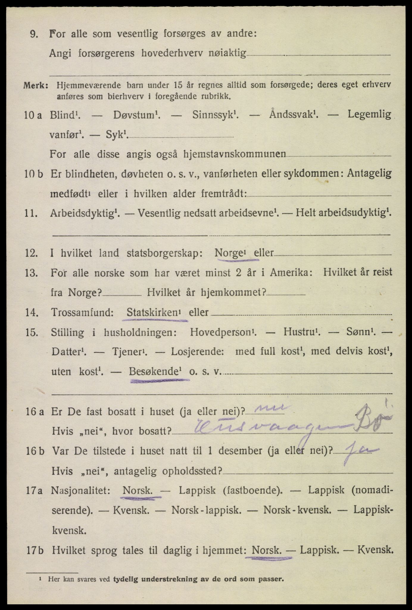 SAT, 1920 census for Bø, 1920, p. 4339