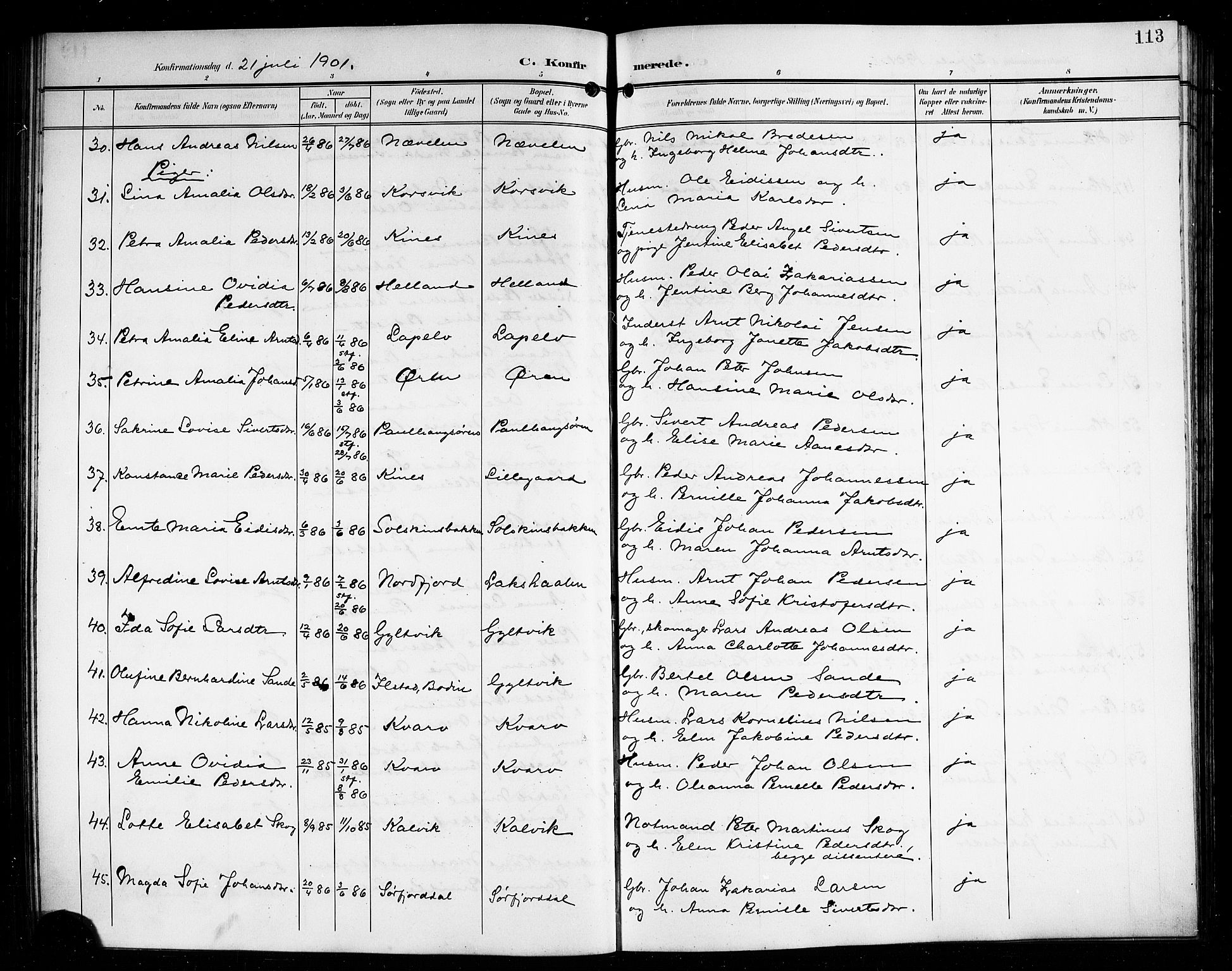 Ministerialprotokoller, klokkerbøker og fødselsregistre - Nordland, AV/SAT-A-1459/854/L0786: Parish register (copy) no. 854C02, 1901-1912, p. 113