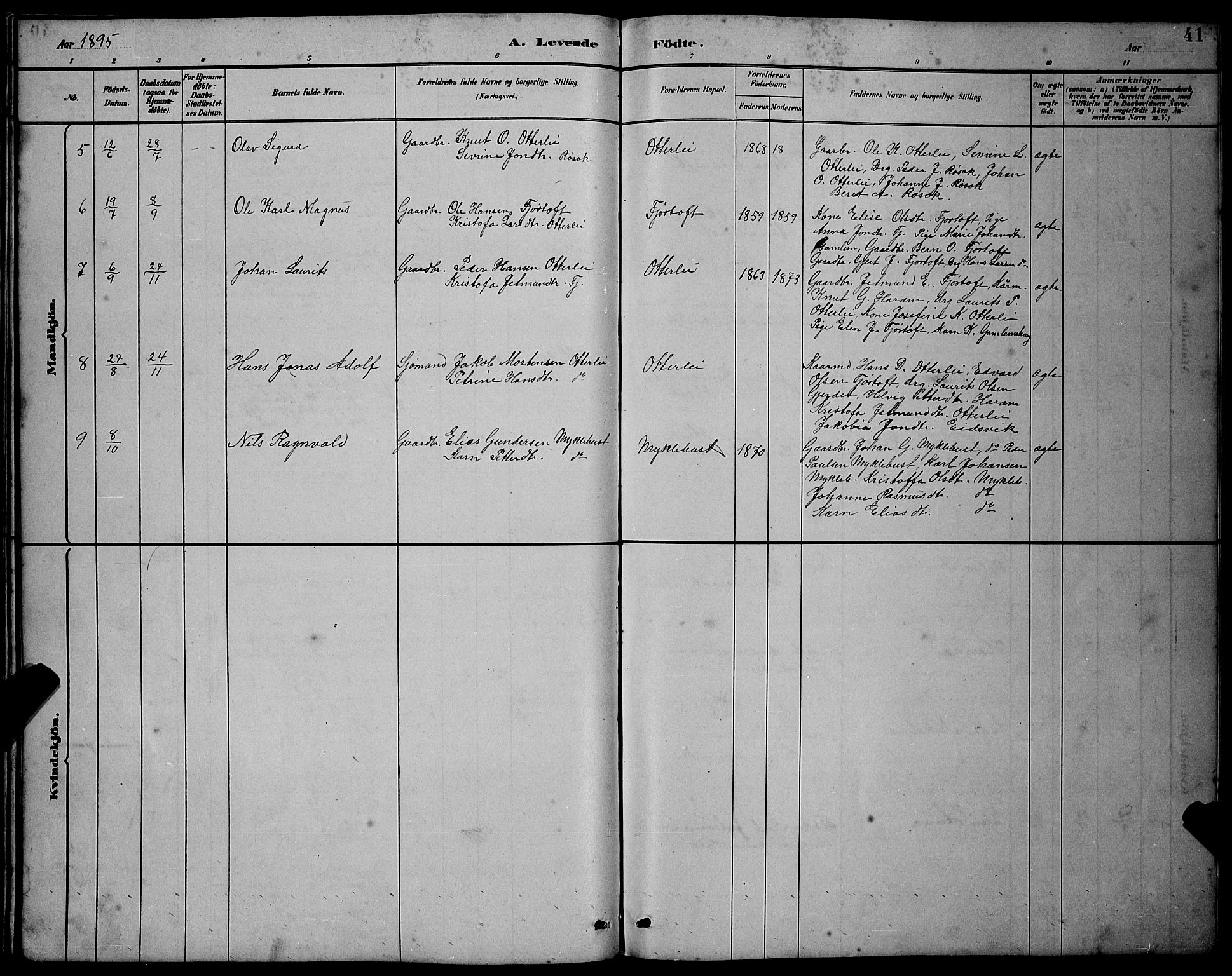 Ministerialprotokoller, klokkerbøker og fødselsregistre - Møre og Romsdal, AV/SAT-A-1454/538/L0523: Parish register (copy) no. 538C01, 1881-1900, p. 41