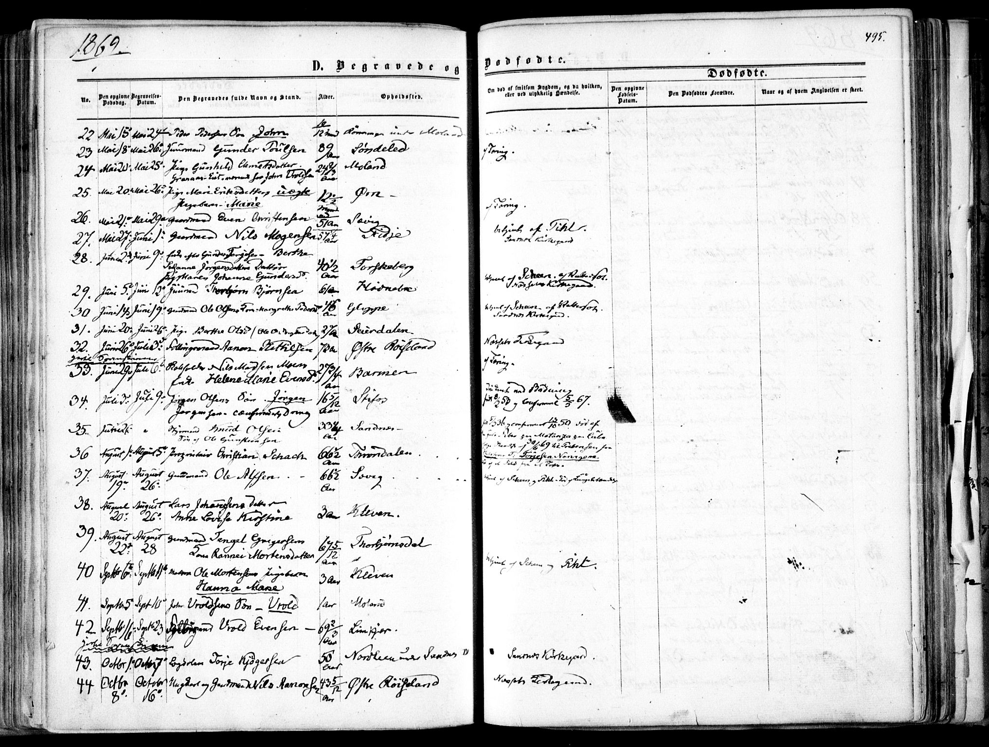 Søndeled sokneprestkontor, AV/SAK-1111-0038/F/Fa/L0003: Parish register (official) no. A 3, 1861-1879, p. 495