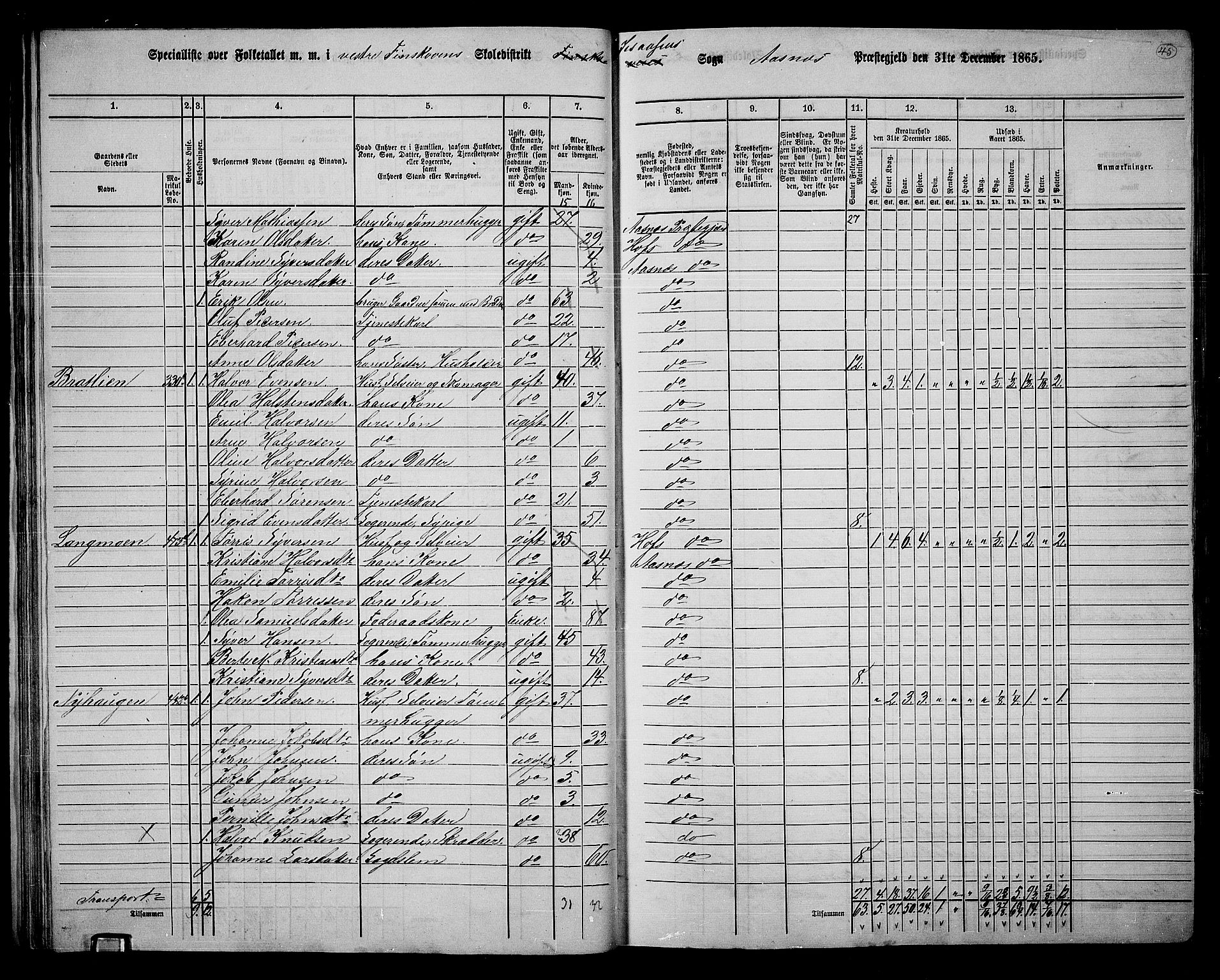 RA, 1865 census for Åsnes, 1865, p. 41