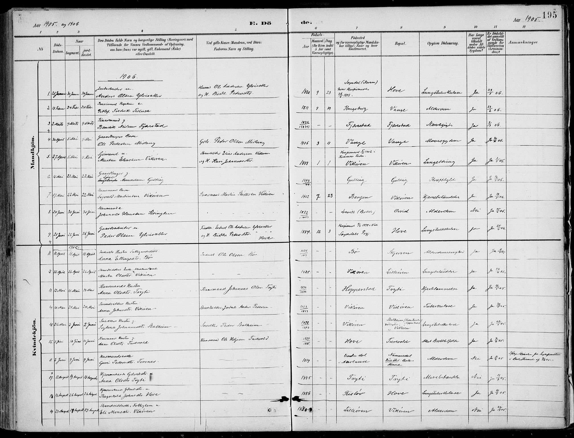 Vik sokneprestembete, AV/SAB-A-81501/H/Haa/Haab/L0002: Parish register (official) no. B  2, 1891-1907, p. 195