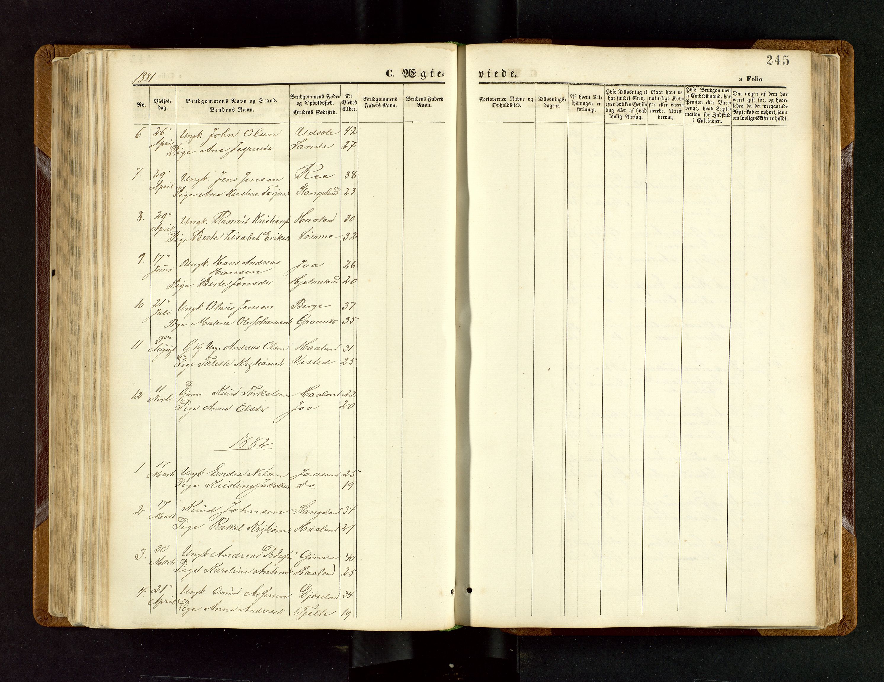 Håland sokneprestkontor, SAST/A-101802/001/30BB/L0003: Parish register (copy) no. B 3, 1873-1893, p. 245