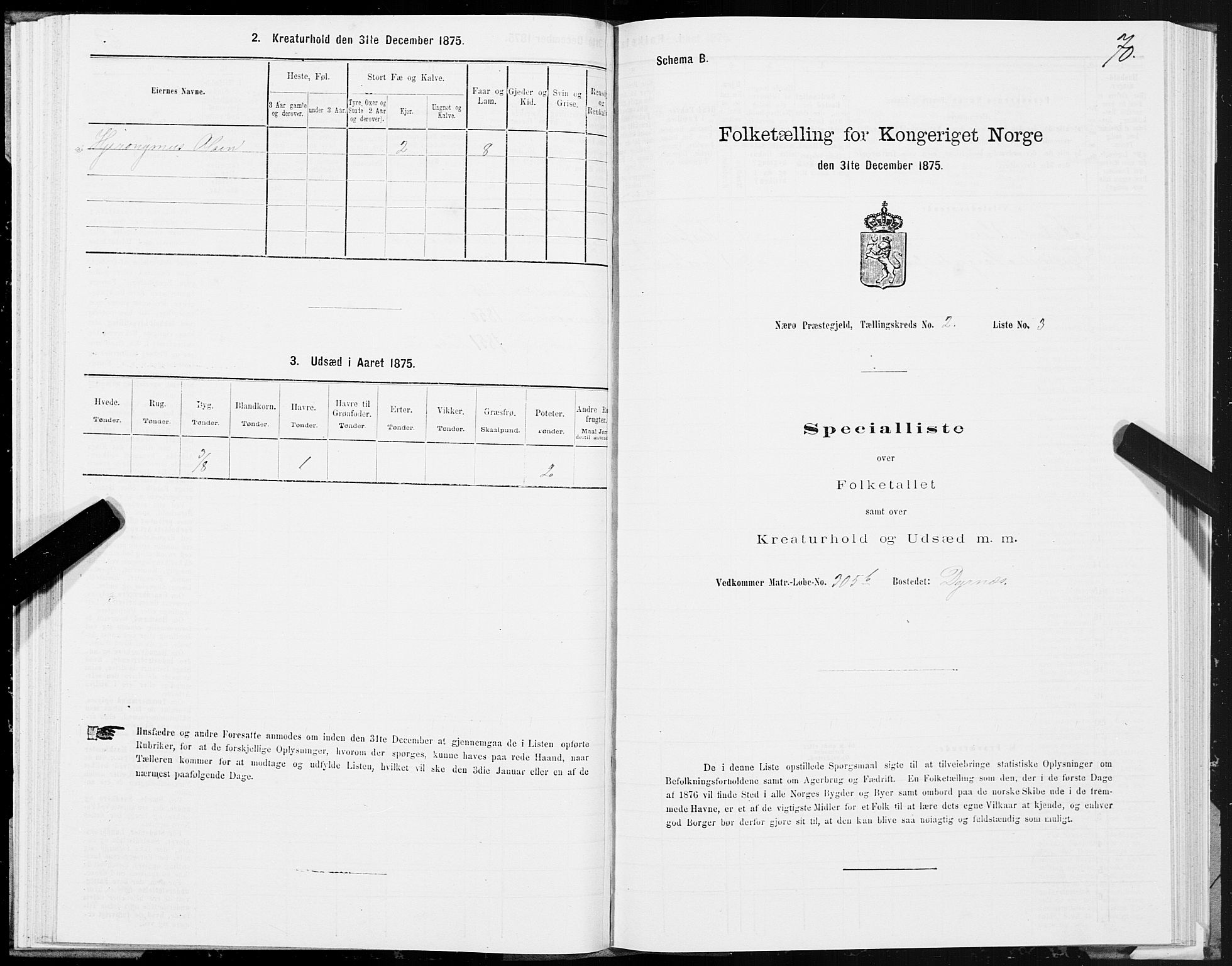 SAT, 1875 census for 1751P Nærøy, 1875, p. 1070