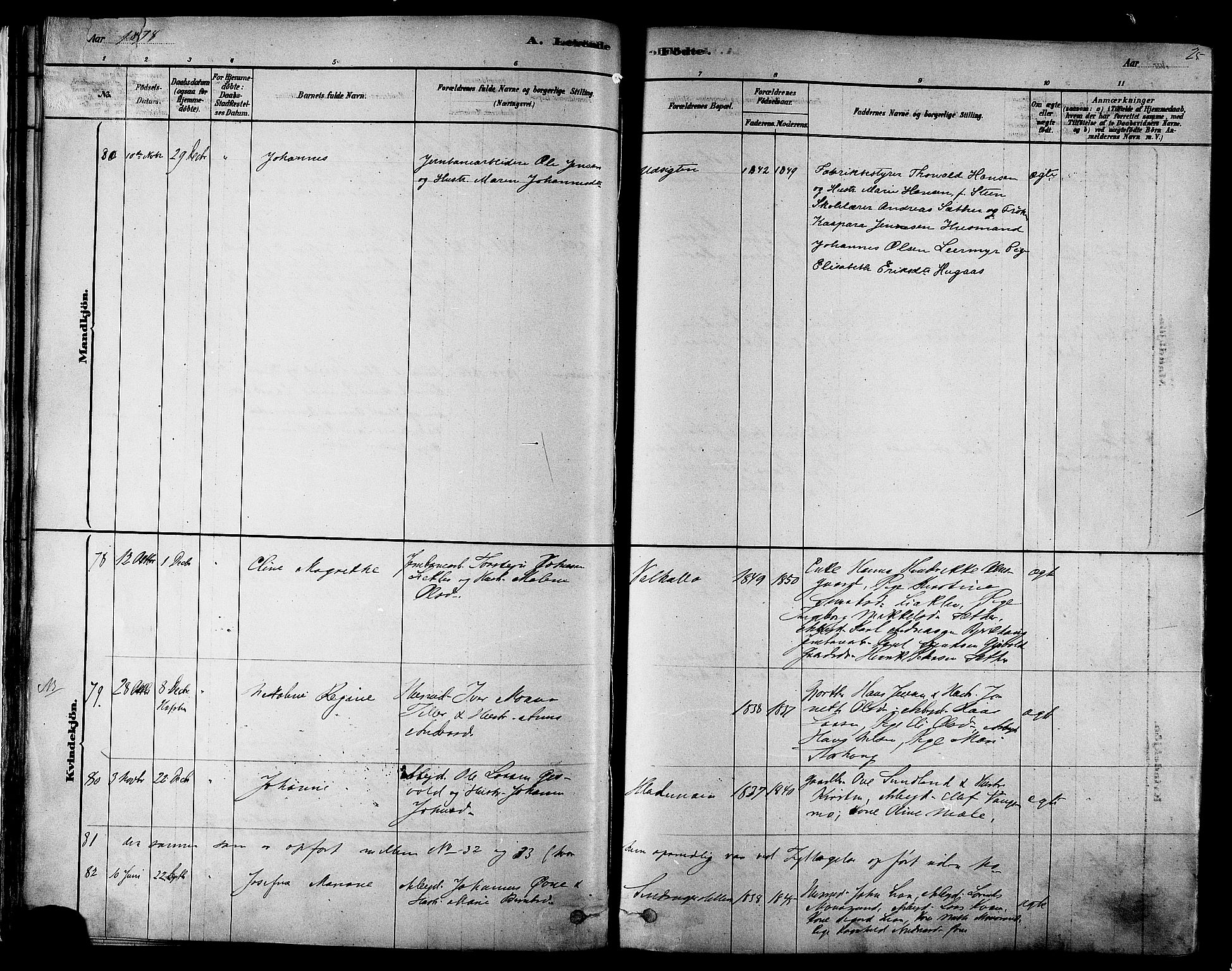 Ministerialprotokoller, klokkerbøker og fødselsregistre - Sør-Trøndelag, SAT/A-1456/606/L0294: Parish register (official) no. 606A09, 1878-1886, p. 25