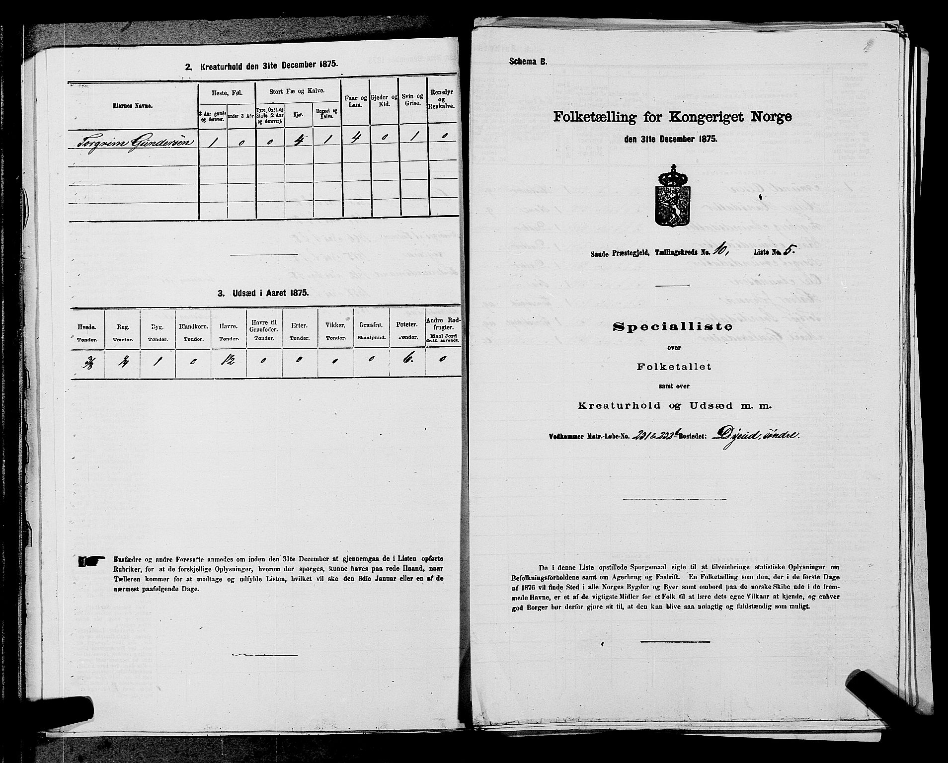 SAKO, 1875 census for 0822P Sauherad, 1875, p. 1181