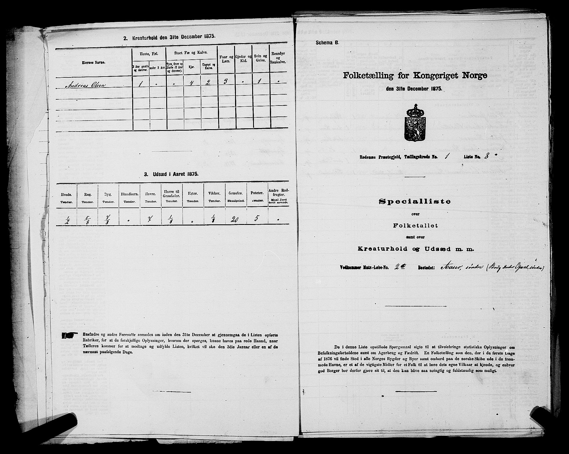 RA, 1875 census for 0120P Rødenes, 1875, p. 29