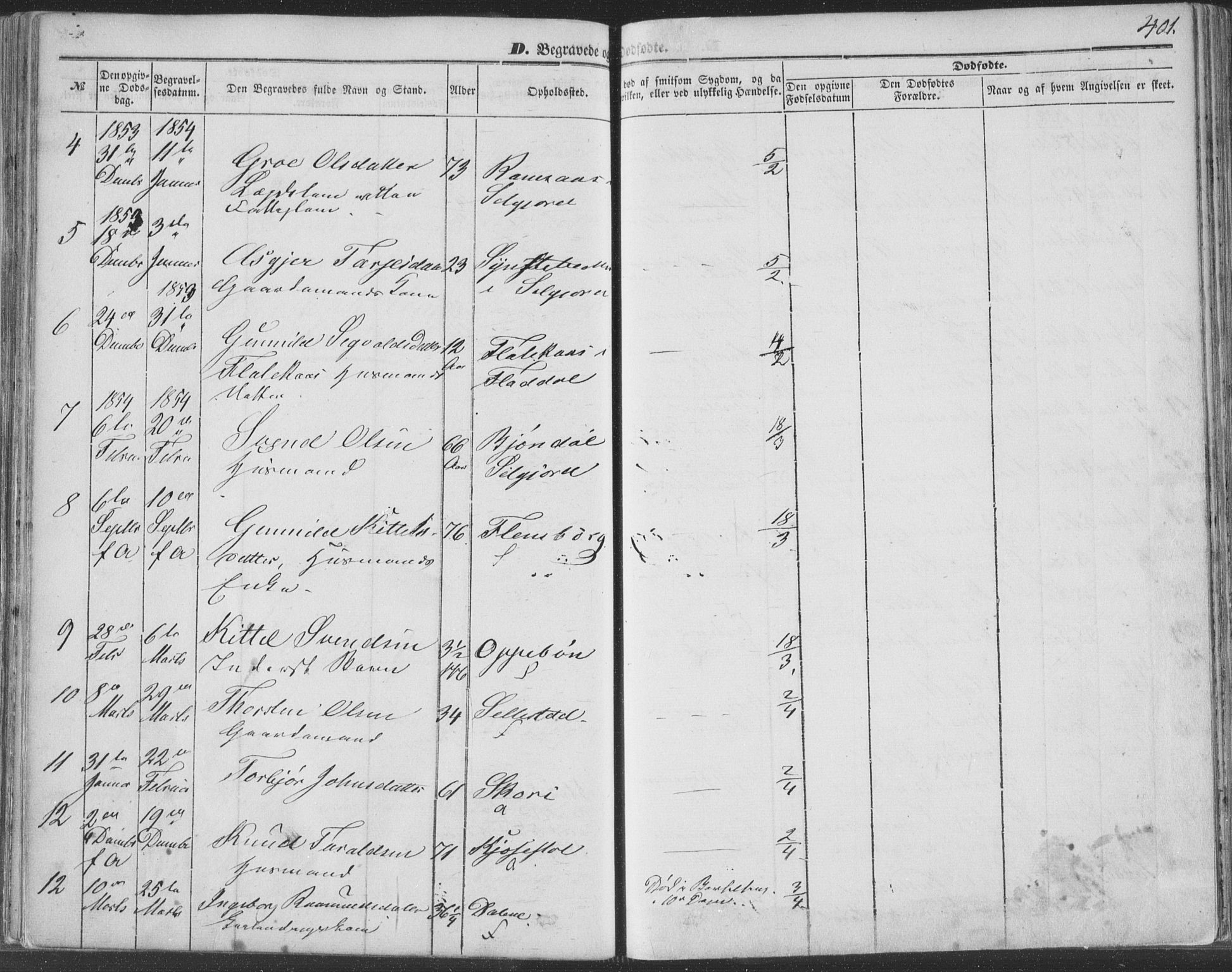 Seljord kirkebøker, AV/SAKO-A-20/F/Fa/L012b: Parish register (official) no. I 12B, 1850-1865, p. 401