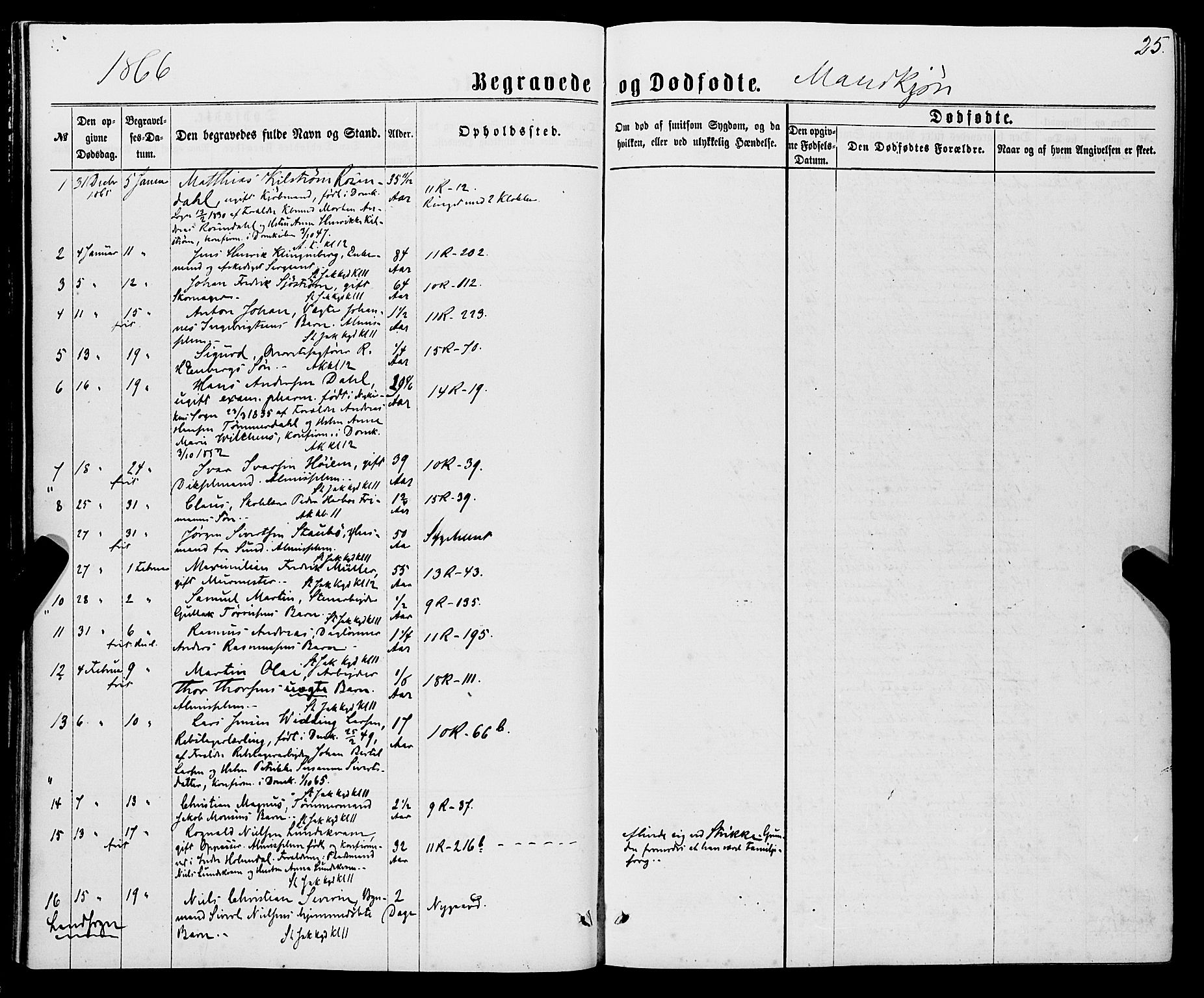 Domkirken sokneprestembete, SAB/A-74801/H/Haa/L0042: Parish register (official) no. E 3, 1863-1876, p. 25