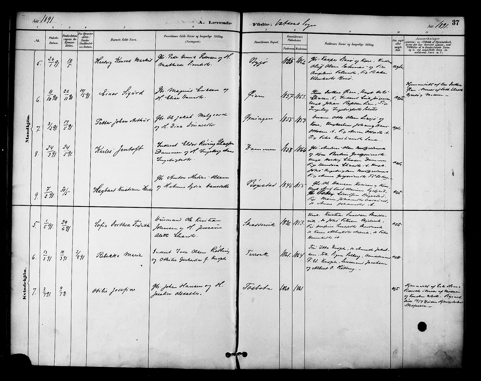 Ministerialprotokoller, klokkerbøker og fødselsregistre - Nordland, AV/SAT-A-1459/810/L0150: Parish register (official) no. 810A10 /1, 1884-1895, p. 37