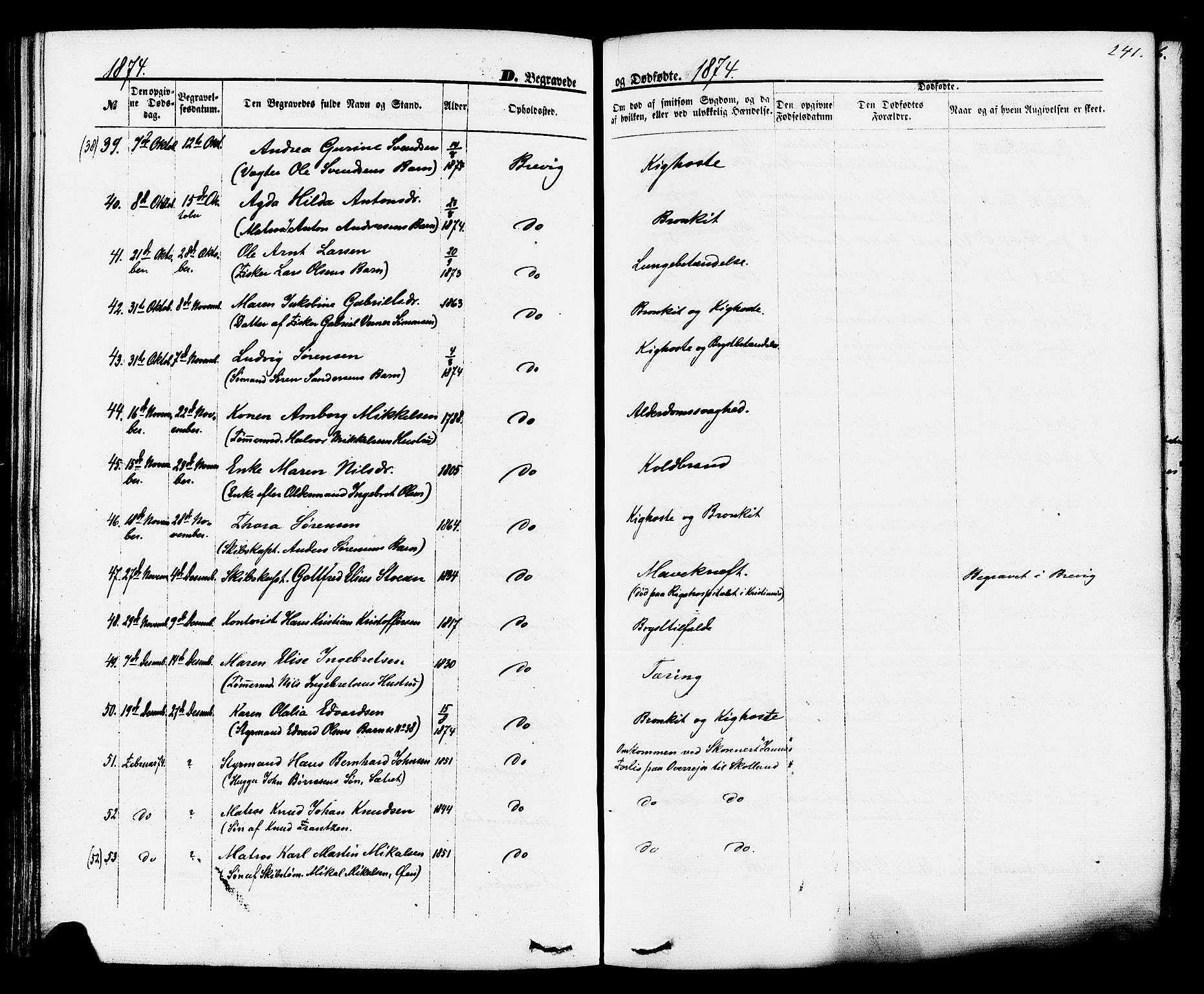 Brevik kirkebøker, SAKO/A-255/F/Fa/L0006: Parish register (official) no. 6, 1866-1881, p. 241