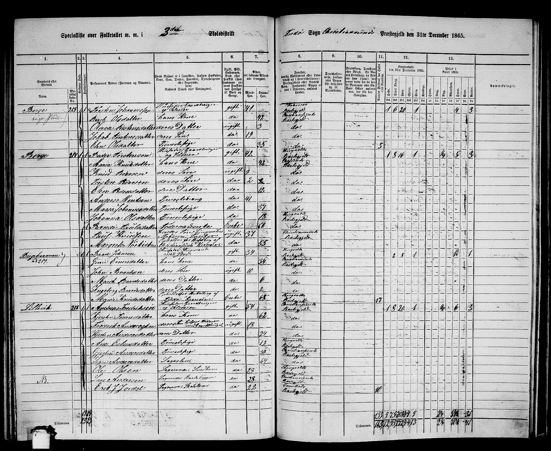 RA, 1865 census for Kristiansund/Frei og Grip, 1865, p. 42