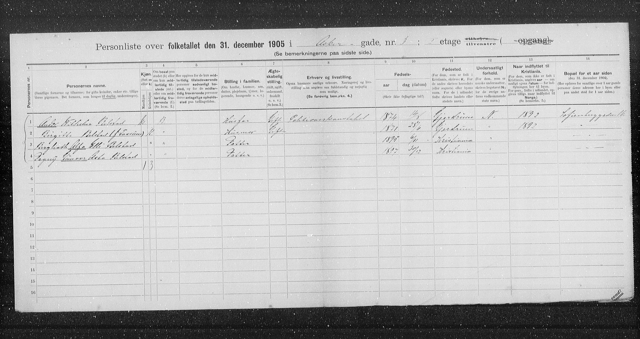 OBA, Municipal Census 1905 for Kristiania, 1905, p. 1295