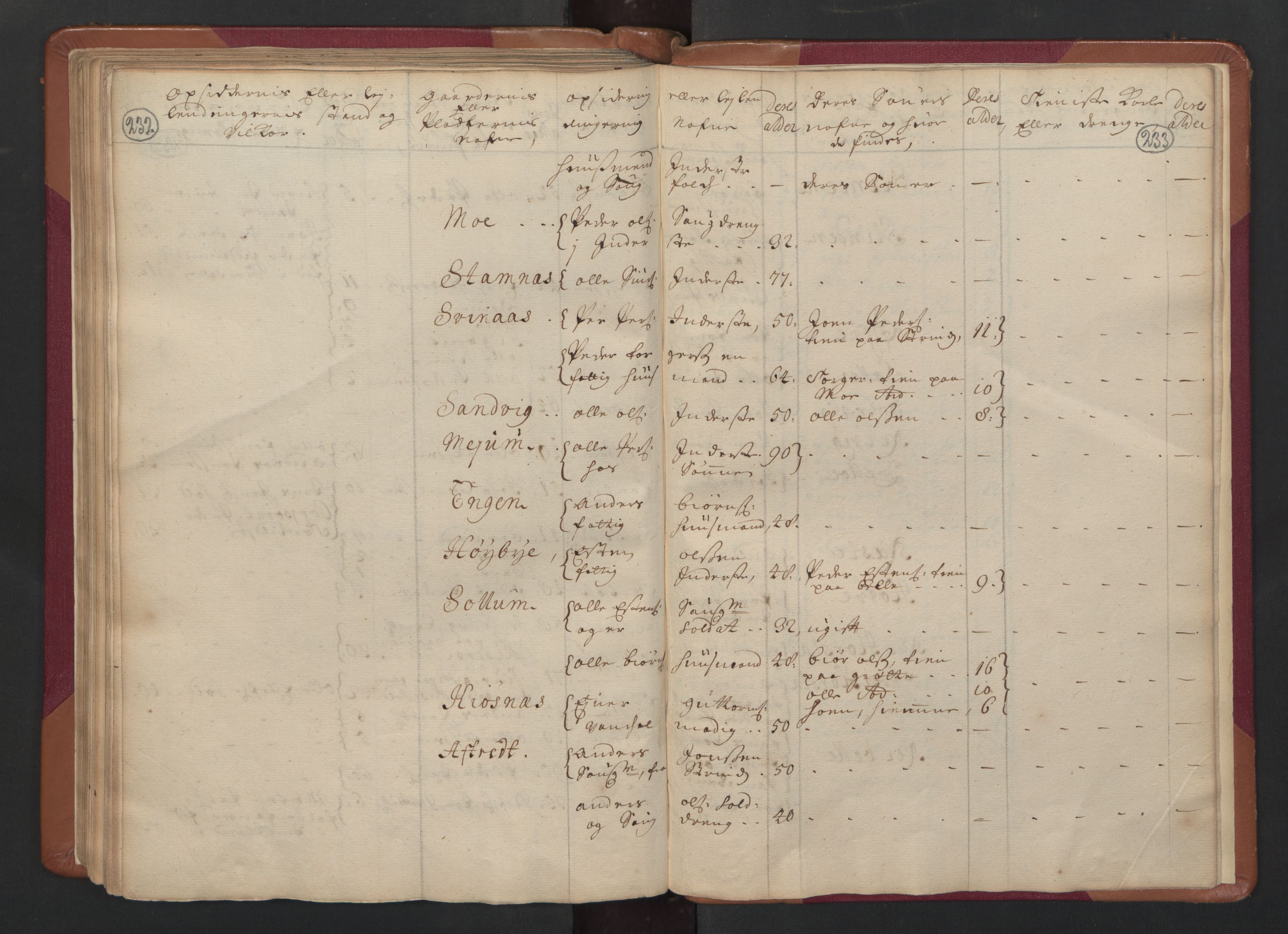 RA, Census (manntall) 1701, no. 14: Strinda and Selbu fogderi, 1701, p. 232-233