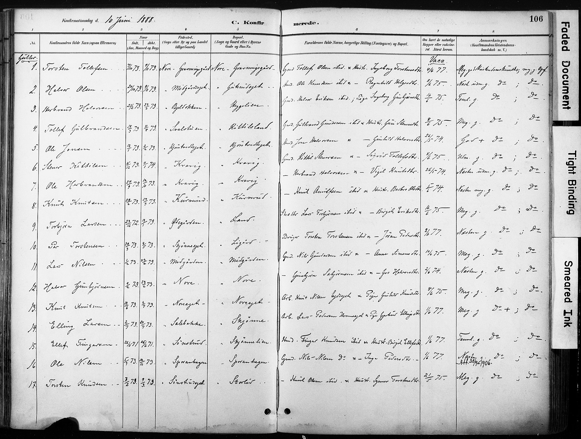 Nore kirkebøker, SAKO/A-238/F/Fb/L0002: Parish register (official) no. II 2, 1886-1906, p. 106