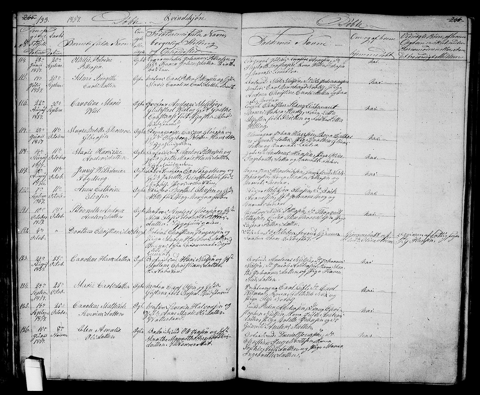 Halden prestekontor Kirkebøker, SAO/A-10909/G/Ga/L0005a: Parish register (copy) no. 5A, 1855-1864, p. 133