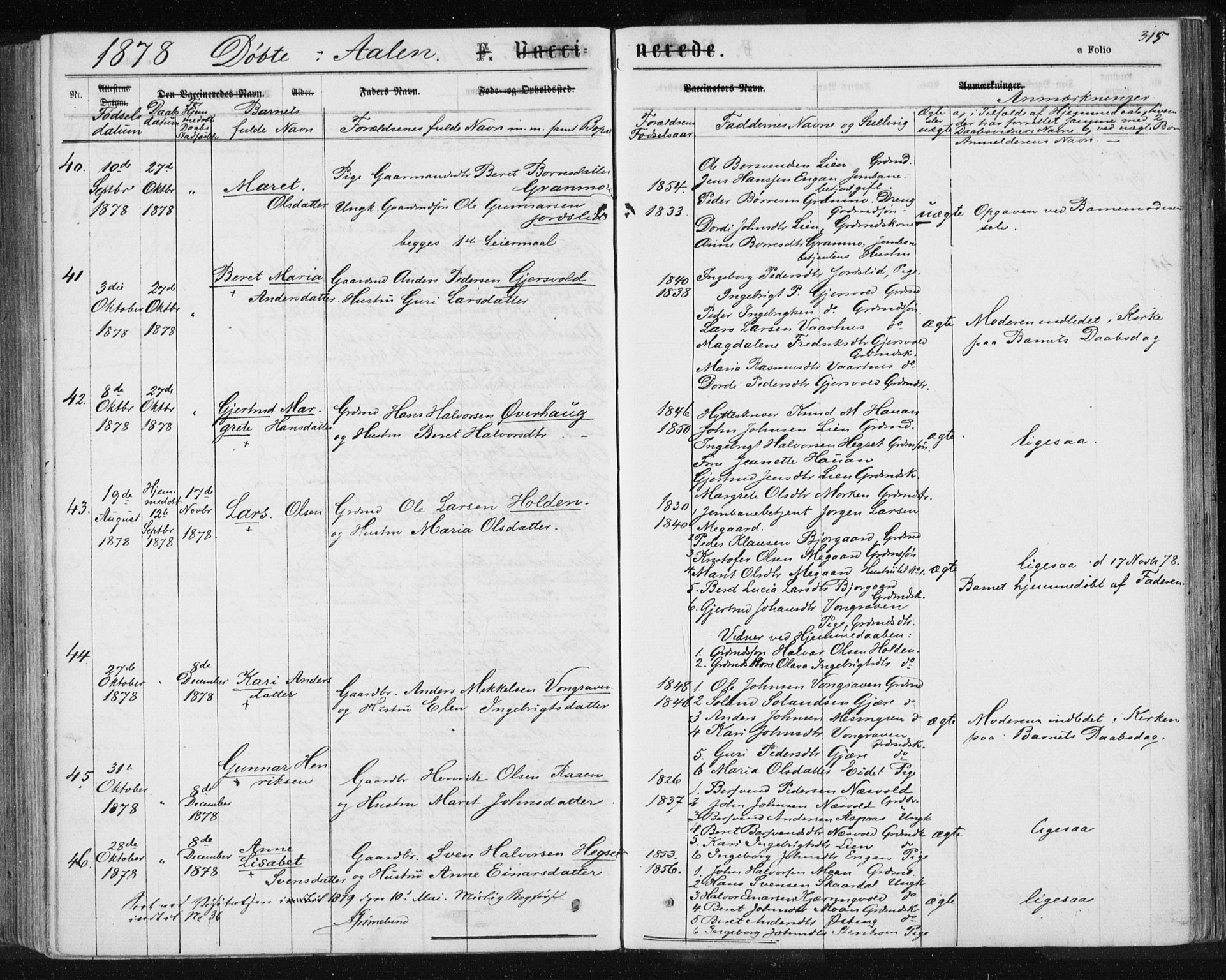 Ministerialprotokoller, klokkerbøker og fødselsregistre - Sør-Trøndelag, AV/SAT-A-1456/685/L0971: Parish register (official) no. 685A08 /3, 1870-1879, p. 315