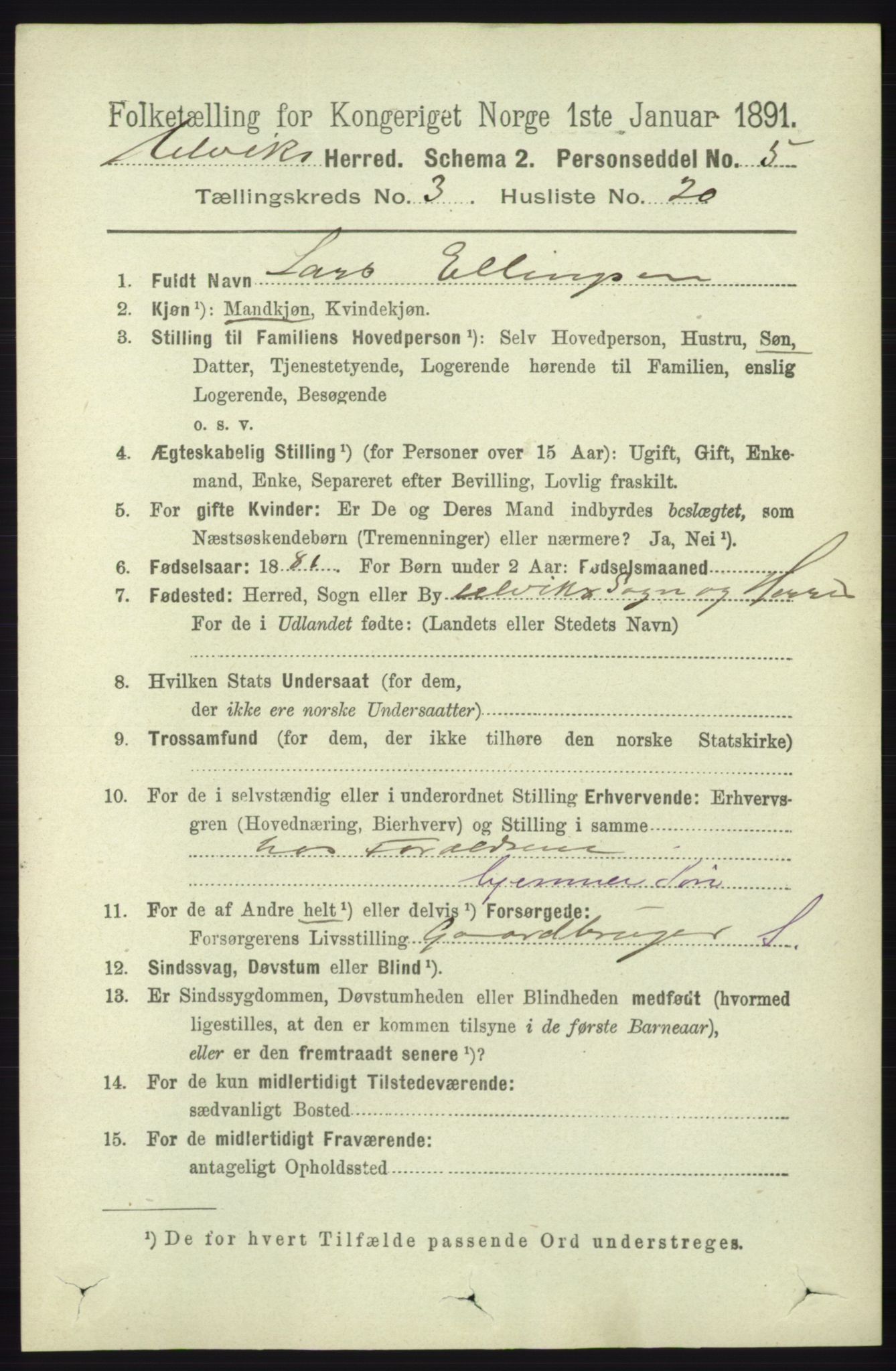 RA, 1891 census for 1233 Ulvik, 1891, p. 424