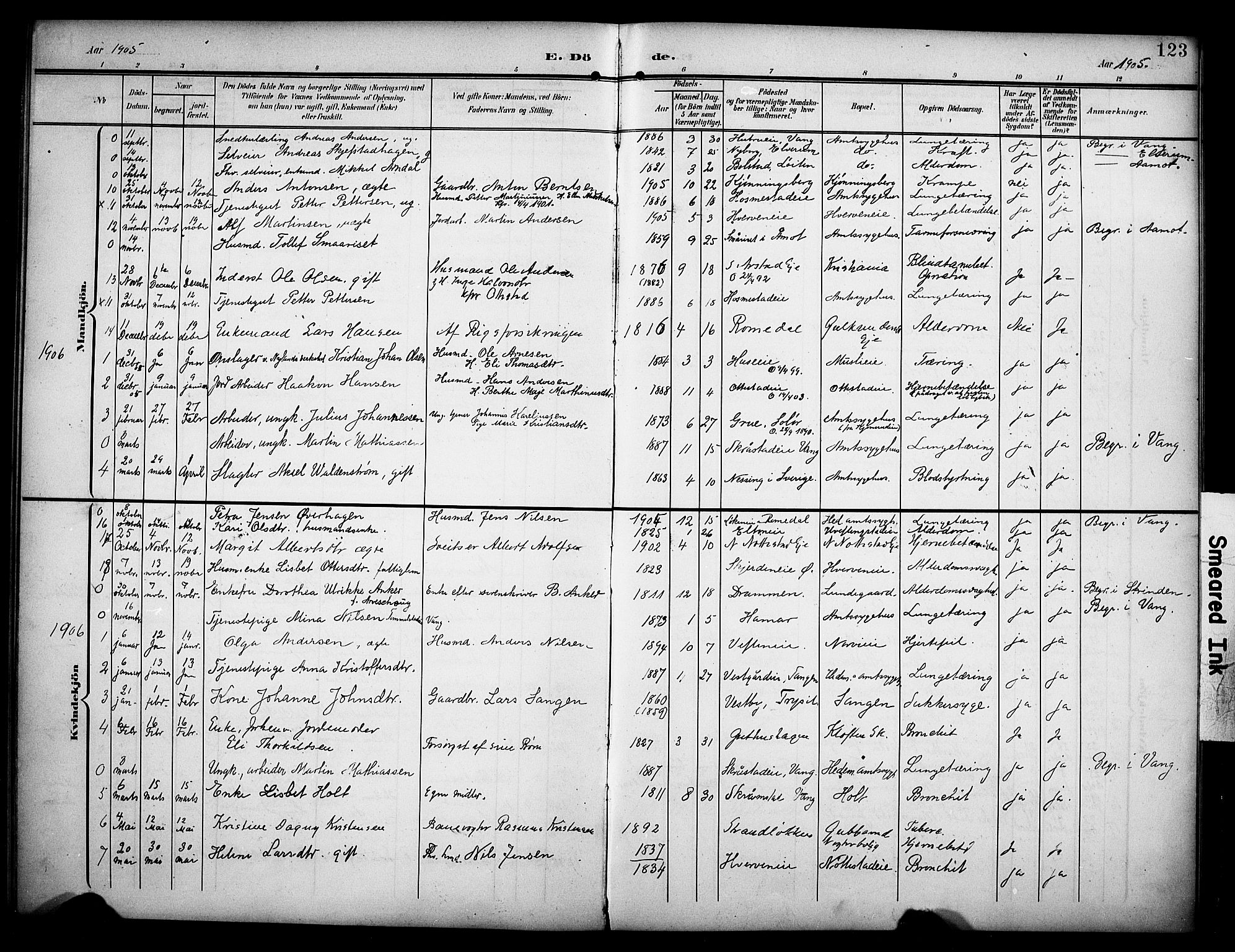 Stange prestekontor, SAH/PREST-002/K/L0022: Parish register (official) no. 22, 1903-1914, p. 123