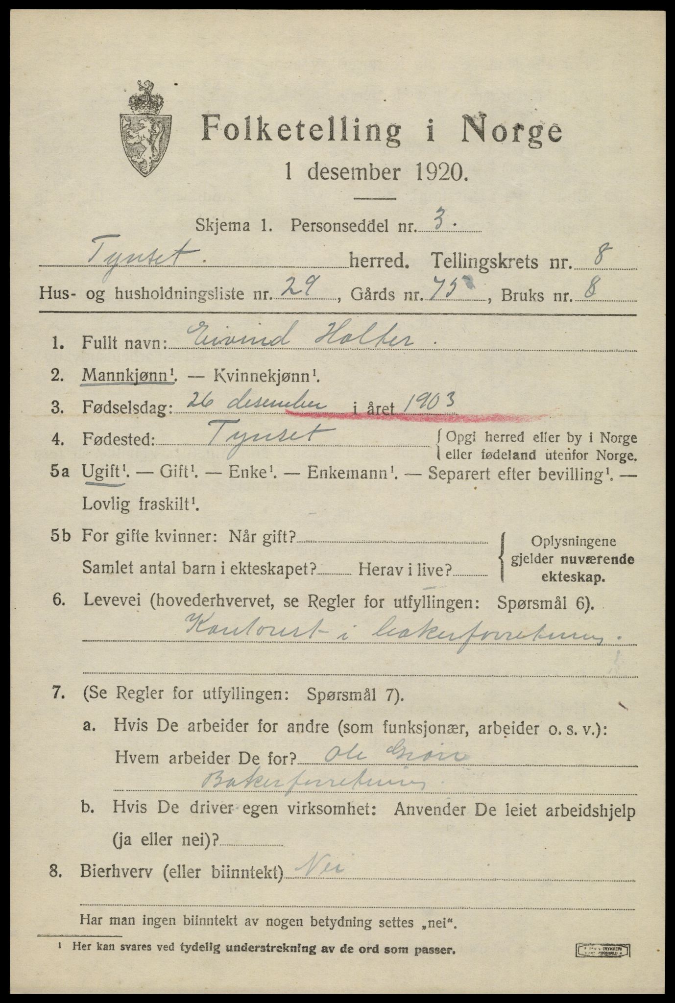 SAH, 1920 census for Tynset, 1920, p. 6908