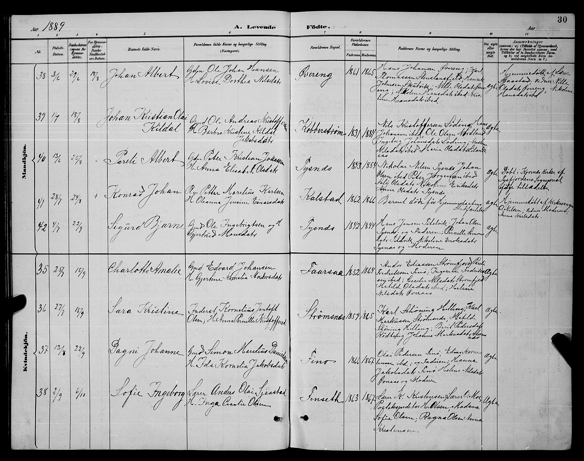 Ministerialprotokoller, klokkerbøker og fødselsregistre - Nordland, SAT/A-1459/859/L0859: Parish register (copy) no. 859C05, 1887-1898, p. 30