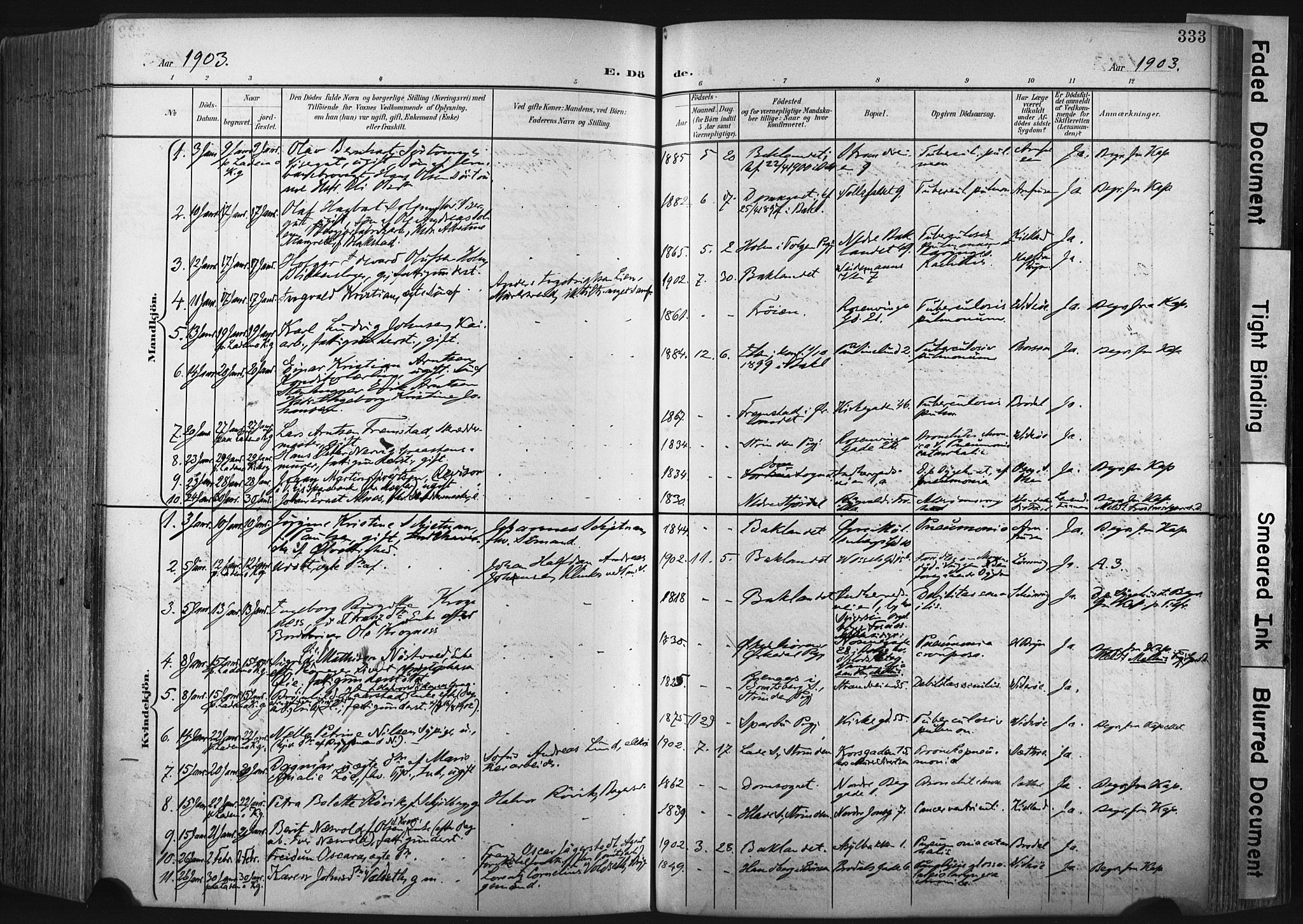 Ministerialprotokoller, klokkerbøker og fødselsregistre - Sør-Trøndelag, AV/SAT-A-1456/604/L0201: Parish register (official) no. 604A21, 1901-1911, p. 333