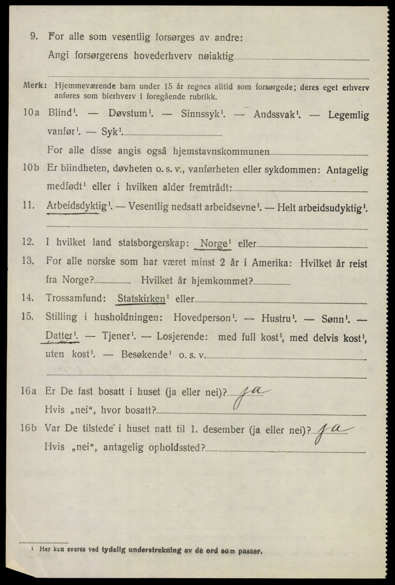 SAO, 1920 census for Nes, 1920, p. 19105