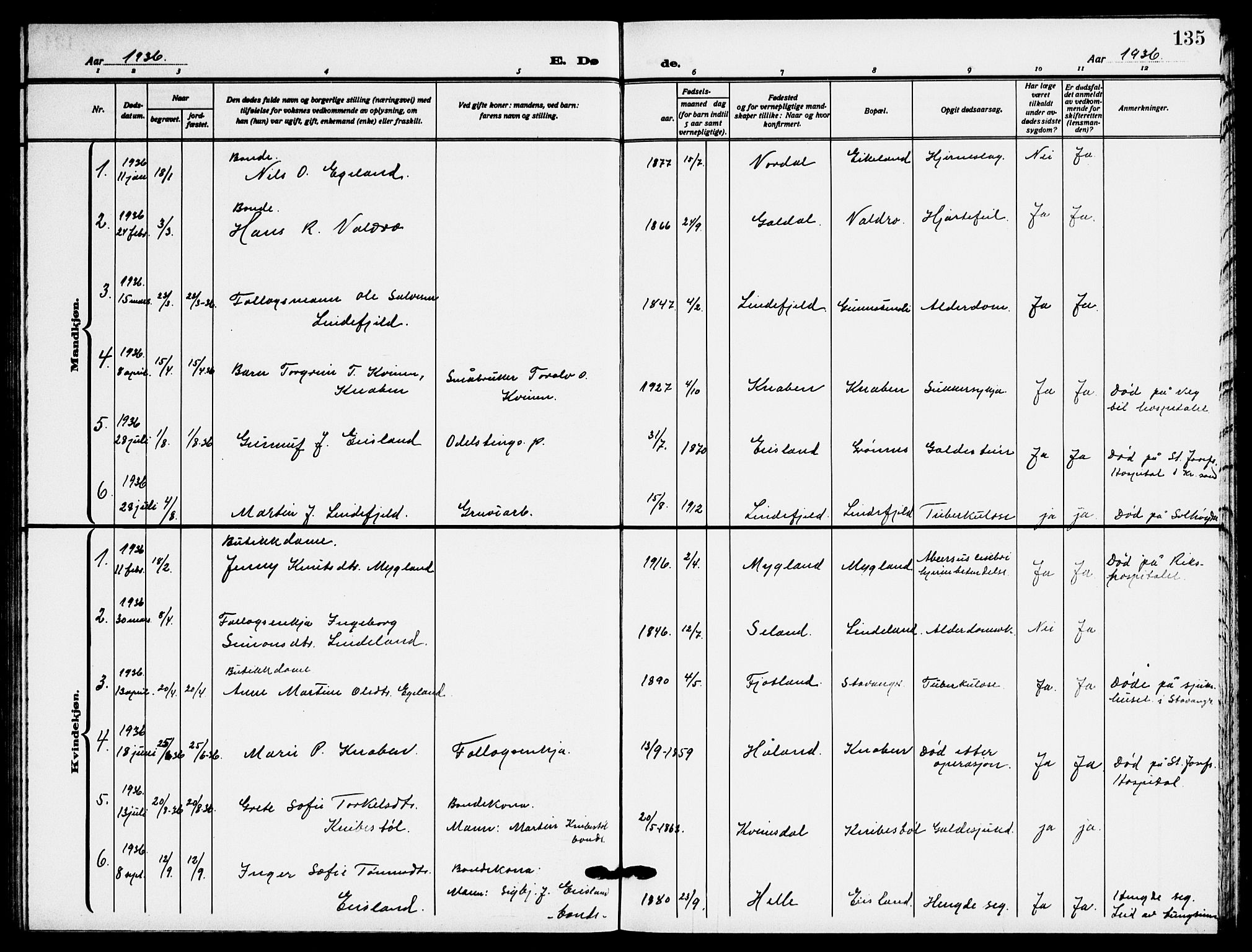 Fjotland sokneprestkontor, AV/SAK-1111-0010/F/Fb/L0004: Parish register (copy) no. B 4, 1925-1941, p. 135