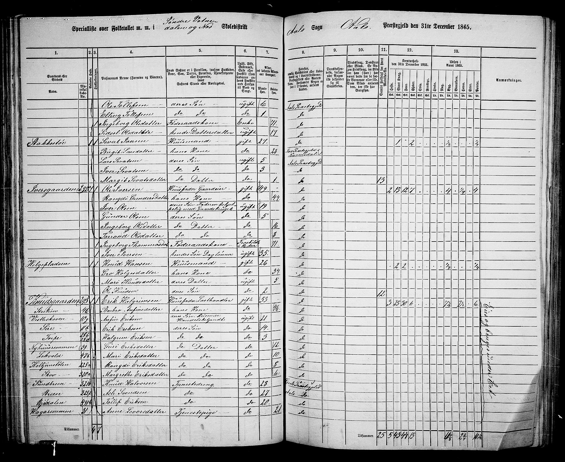 RA, 1865 census for Ål, 1865, p. 83