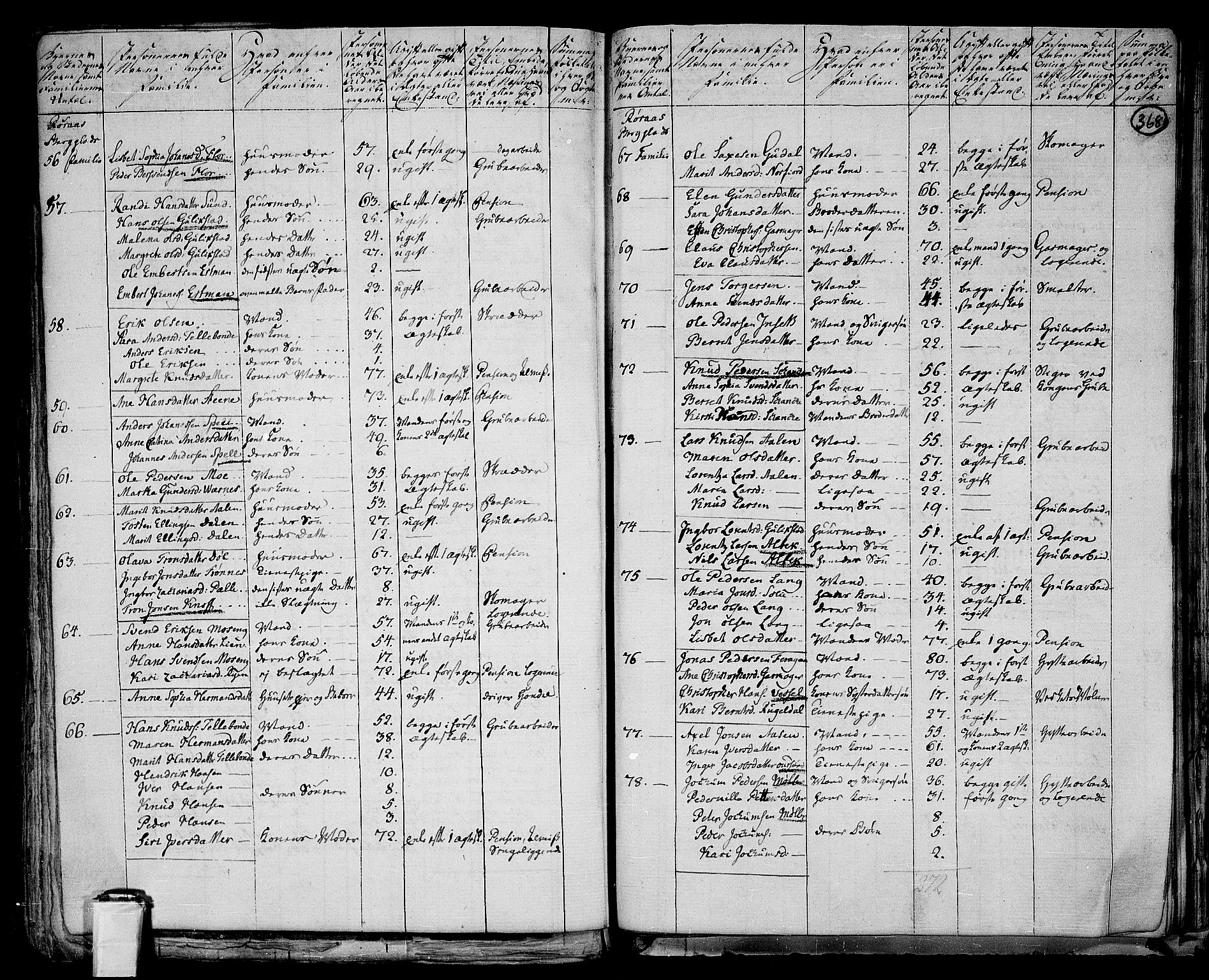 RA, 1801 census for 1640P Røros, 1801, p. 367b-368a