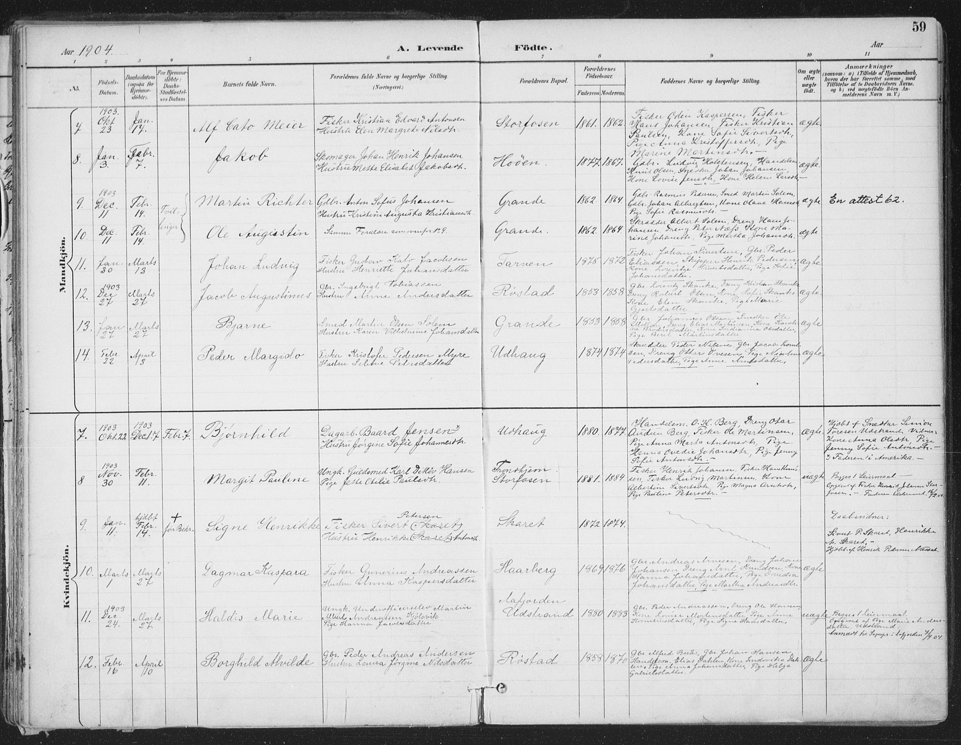 Ministerialprotokoller, klokkerbøker og fødselsregistre - Sør-Trøndelag, AV/SAT-A-1456/659/L0743: Parish register (official) no. 659A13, 1893-1910, p. 59