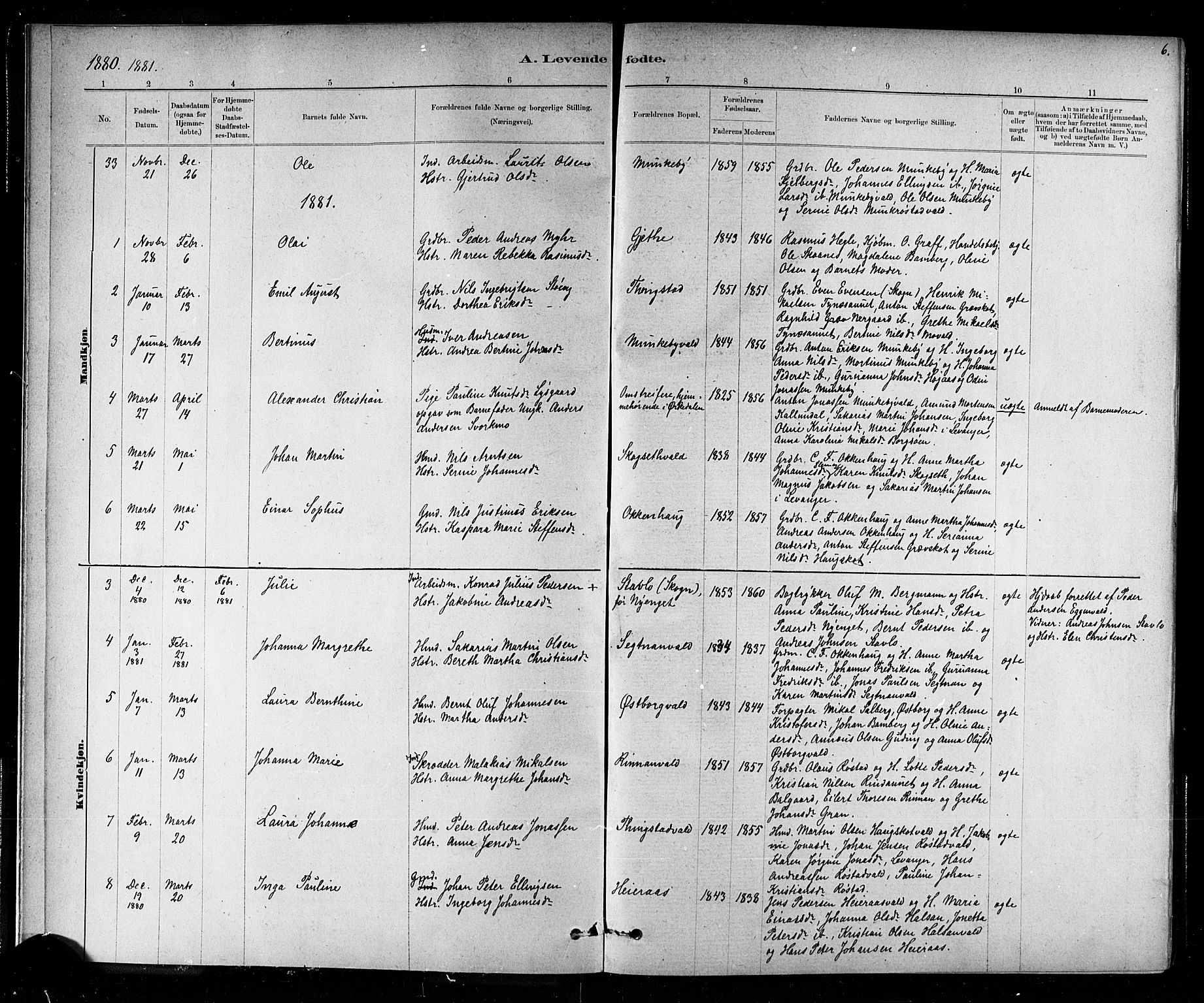 Ministerialprotokoller, klokkerbøker og fødselsregistre - Nord-Trøndelag, AV/SAT-A-1458/721/L0208: Parish register (copy) no. 721C01, 1880-1917, p. 6