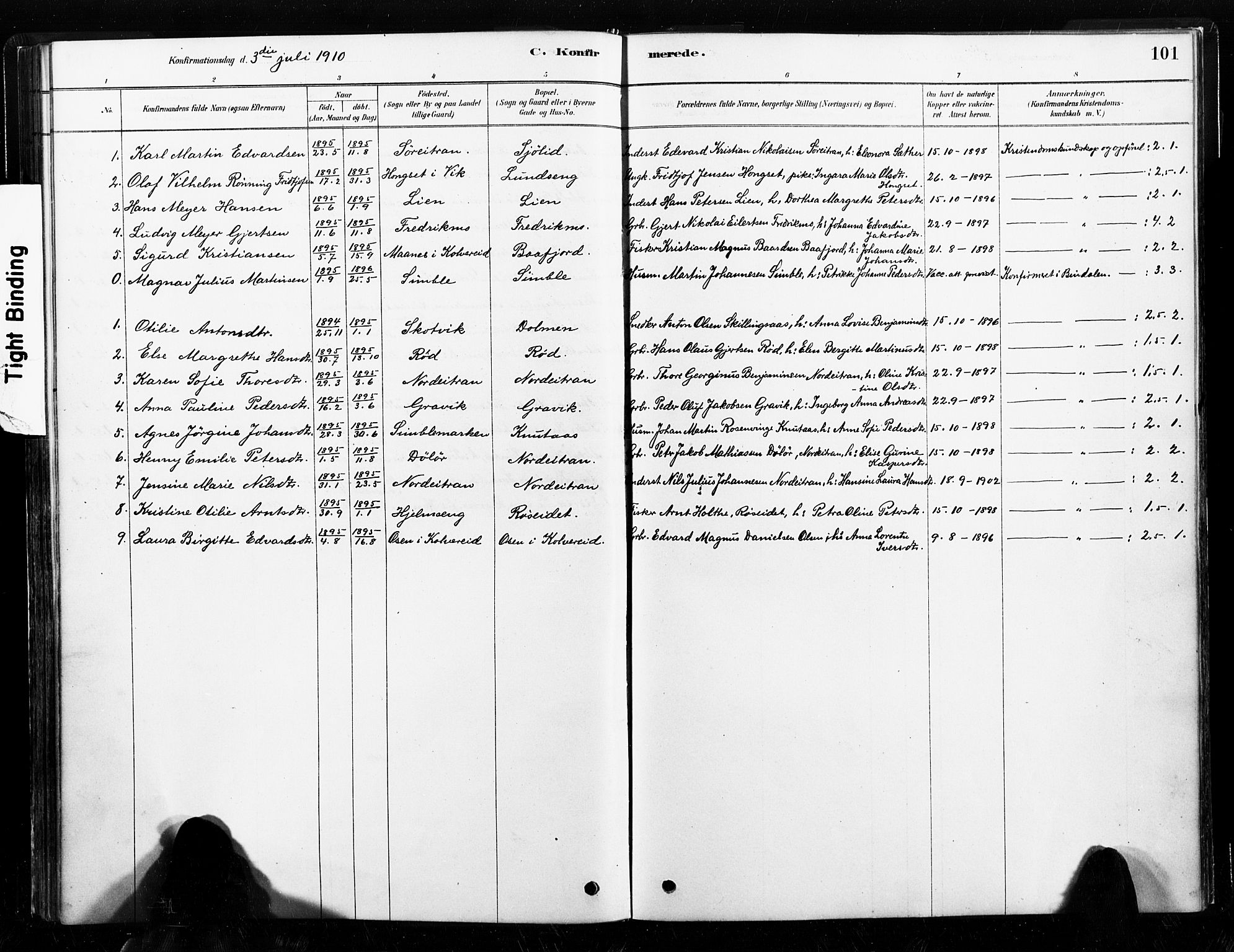 Ministerialprotokoller, klokkerbøker og fødselsregistre - Nord-Trøndelag, SAT/A-1458/789/L0705: Parish register (official) no. 789A01, 1878-1910, p. 101
